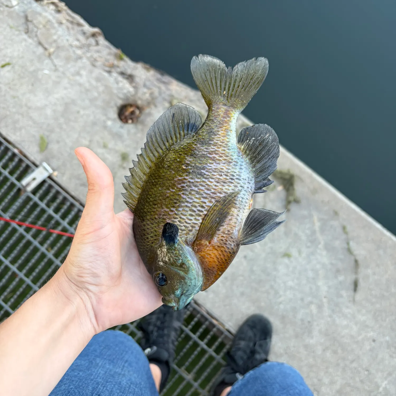 catch