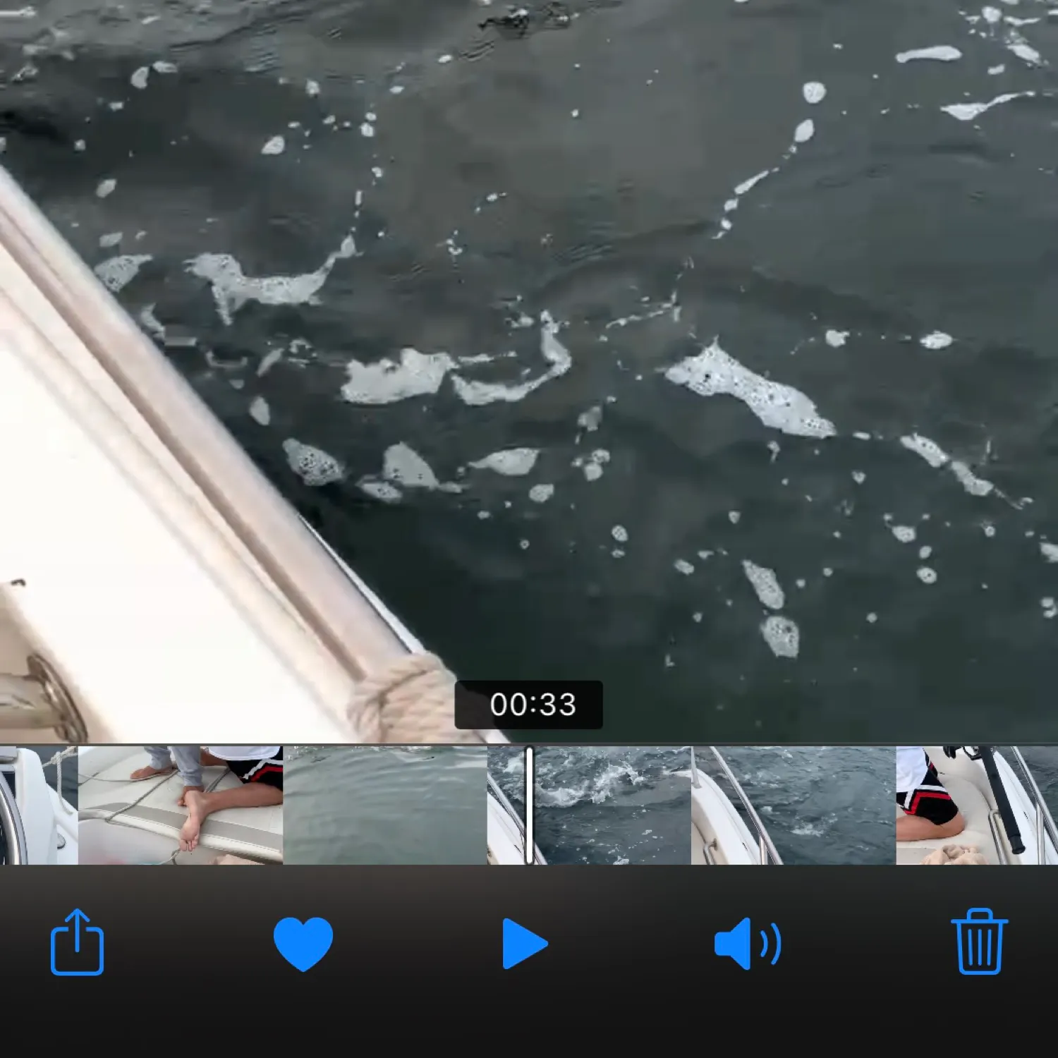 recently logged catches