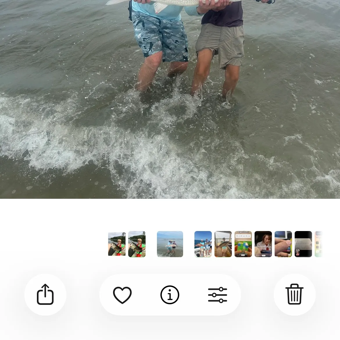 recently logged catches