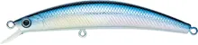 Dr. Minnow