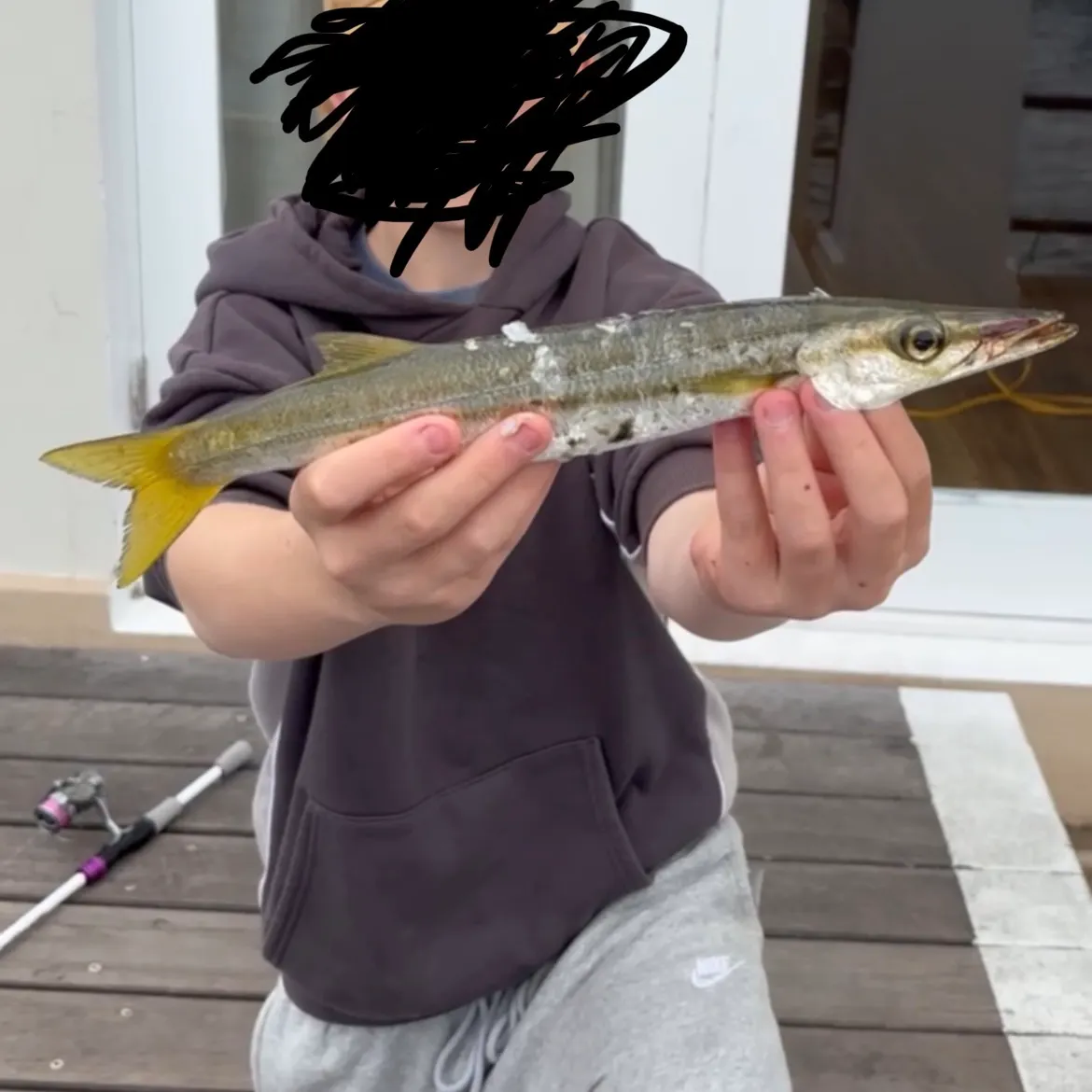 Longfin pike caught on Fishbrain