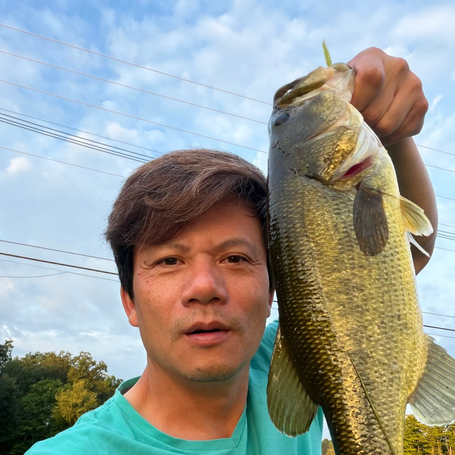 Largemouth bass caught on Fishbrain