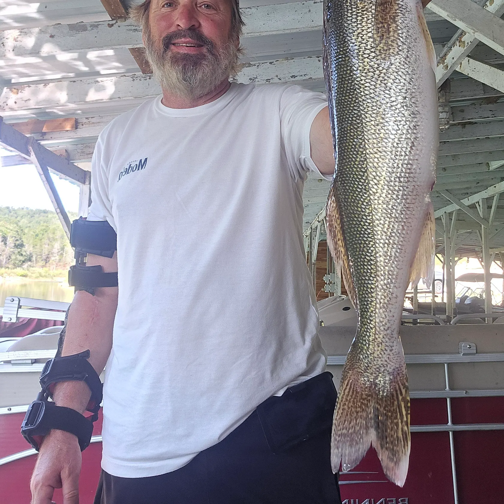 Walleye caught on Fishbrain