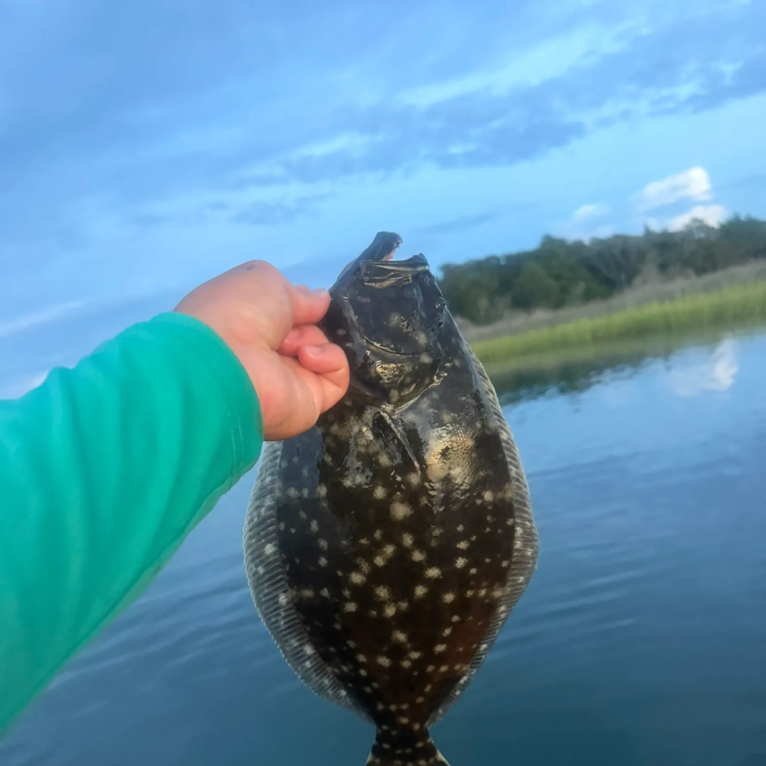 Southern flounder caught on Fishbrain