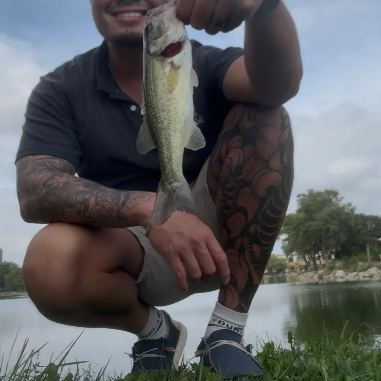 Largemouth bass caught on Fishbrain