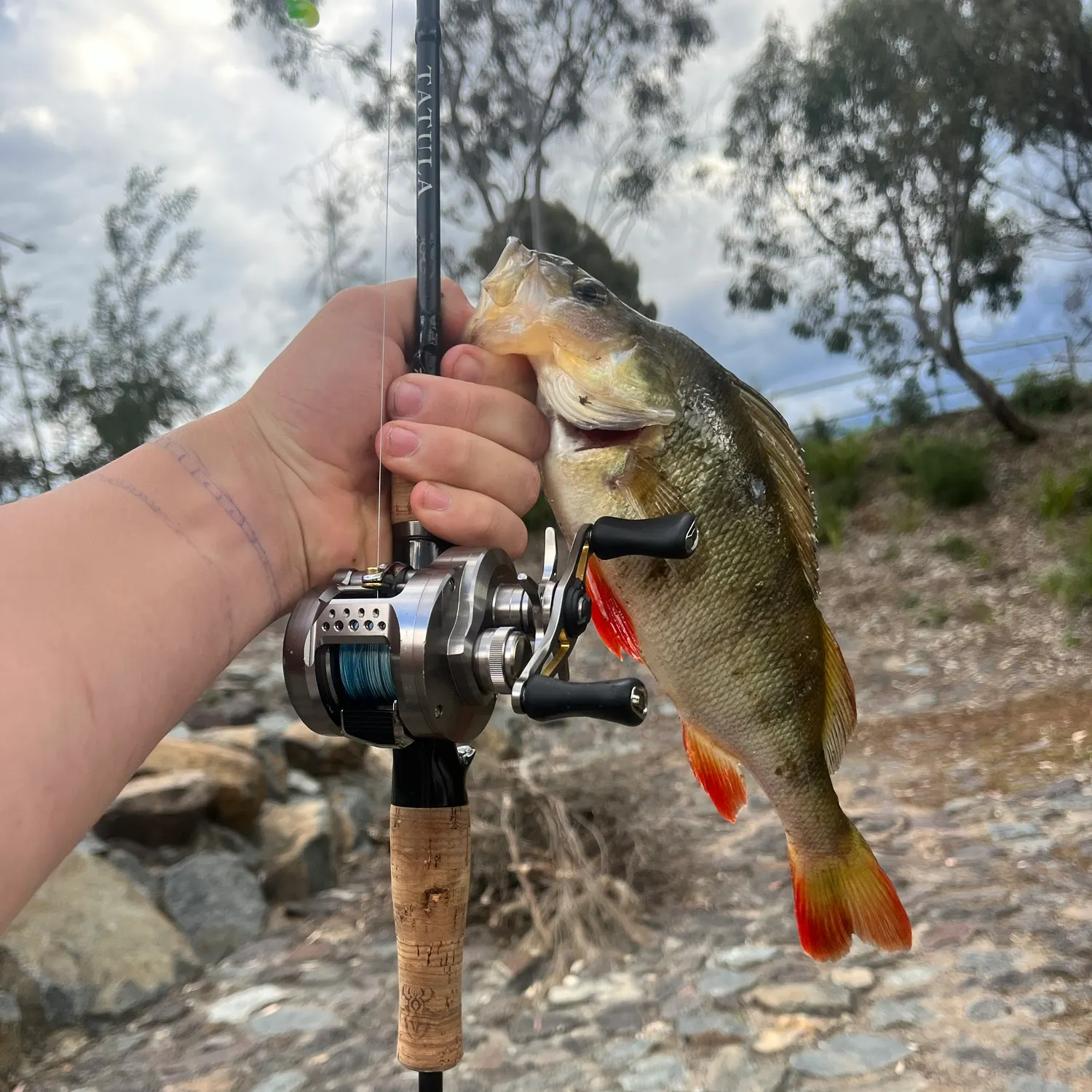 catch
