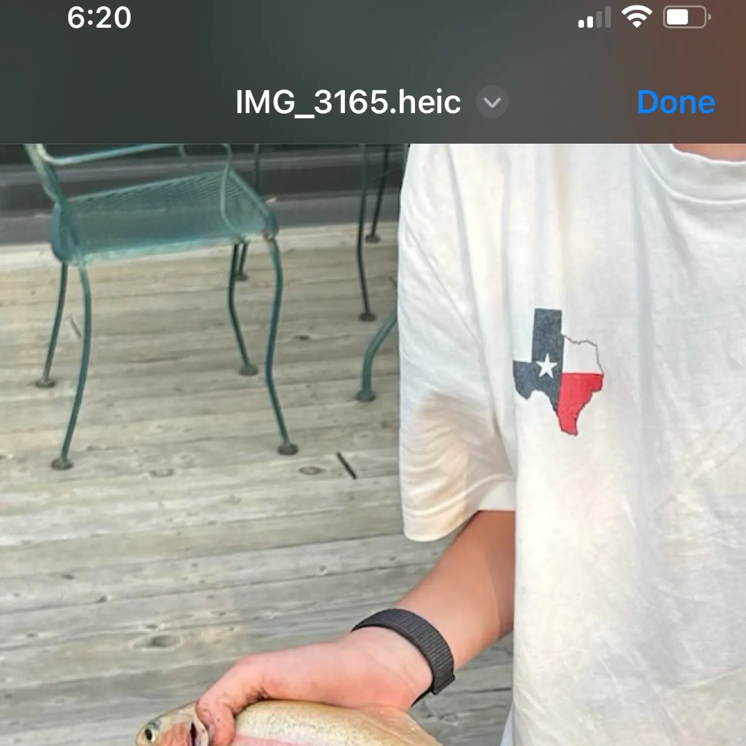 recently logged catches