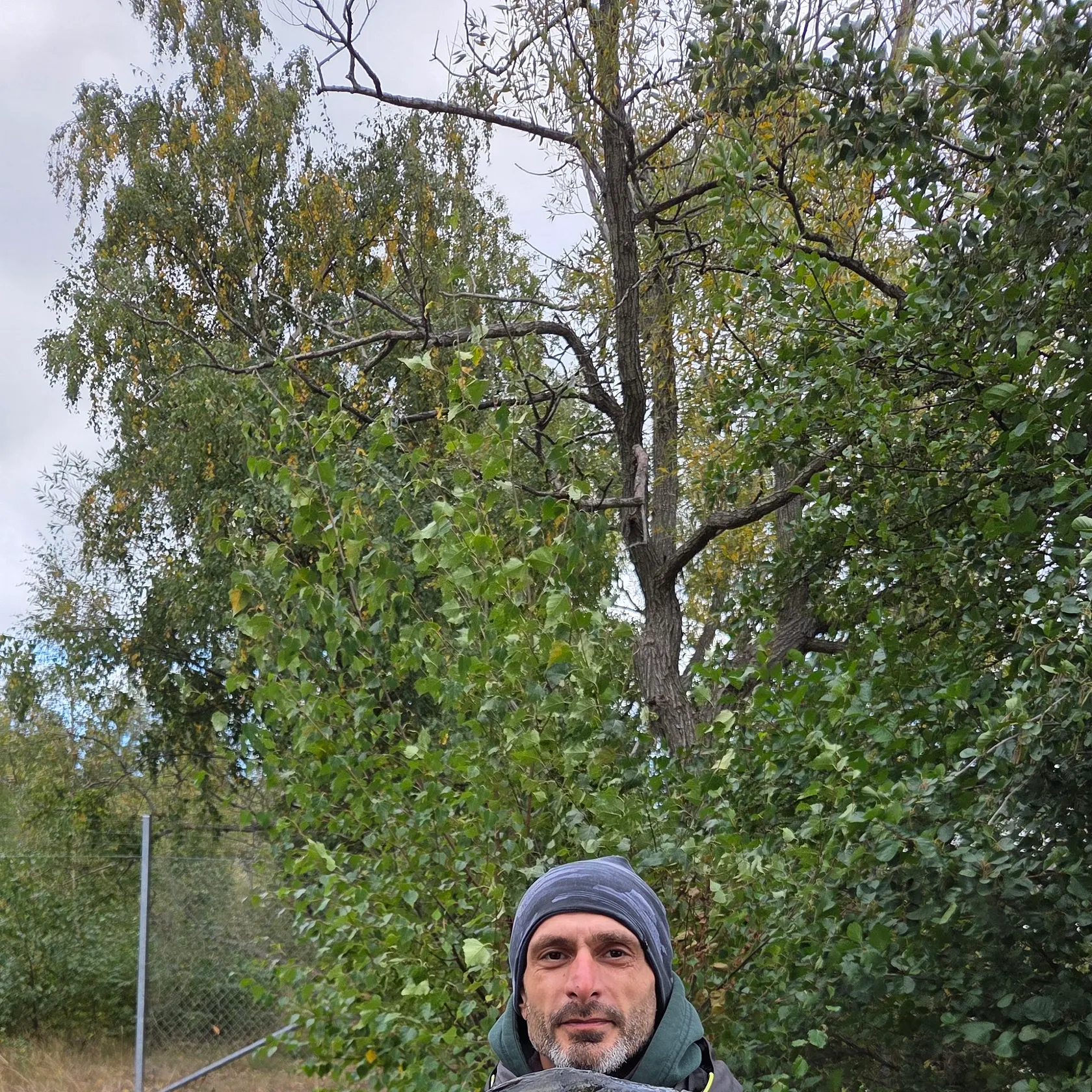 European perch caught on Fishbrain
