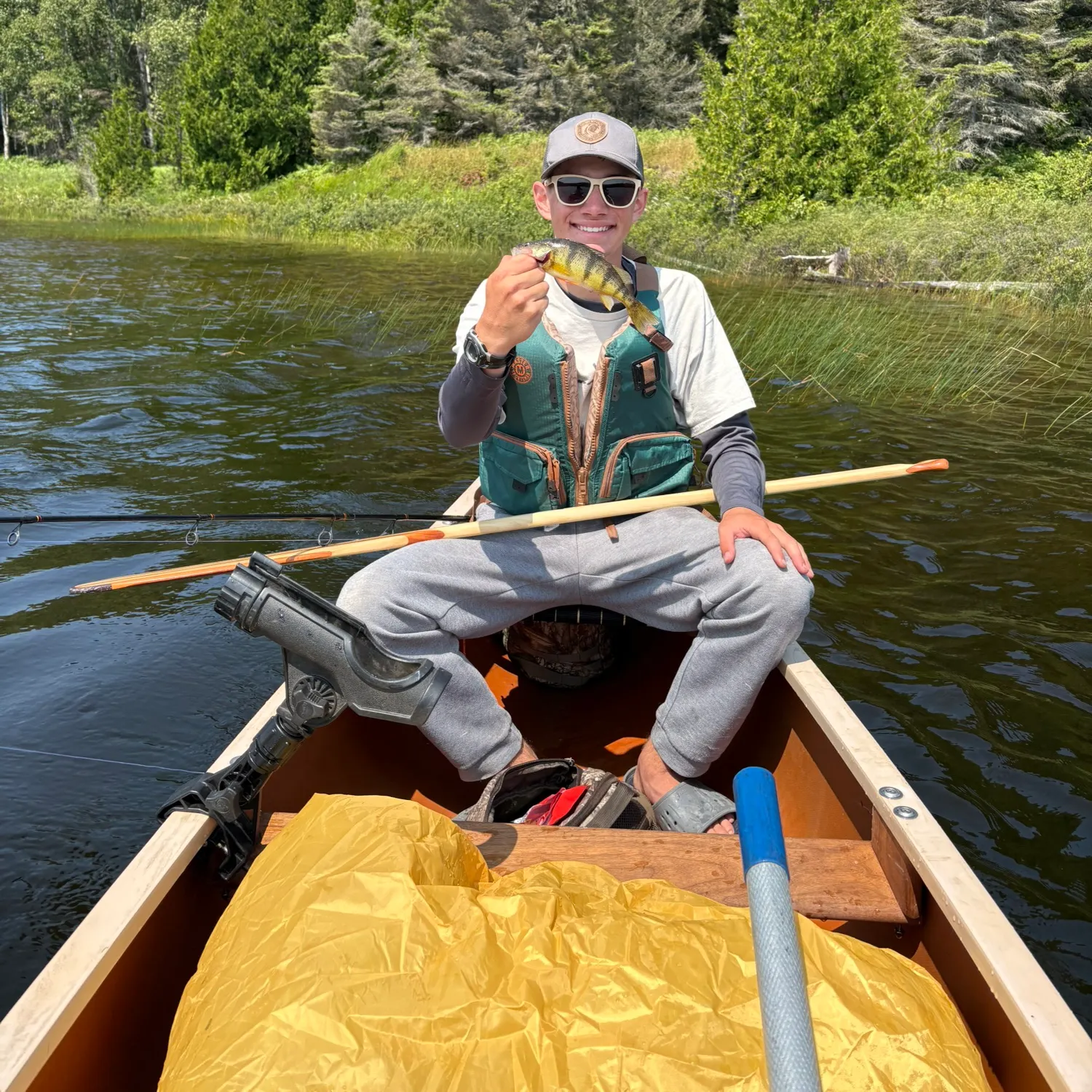 Yellow perch caught on Fishbrain