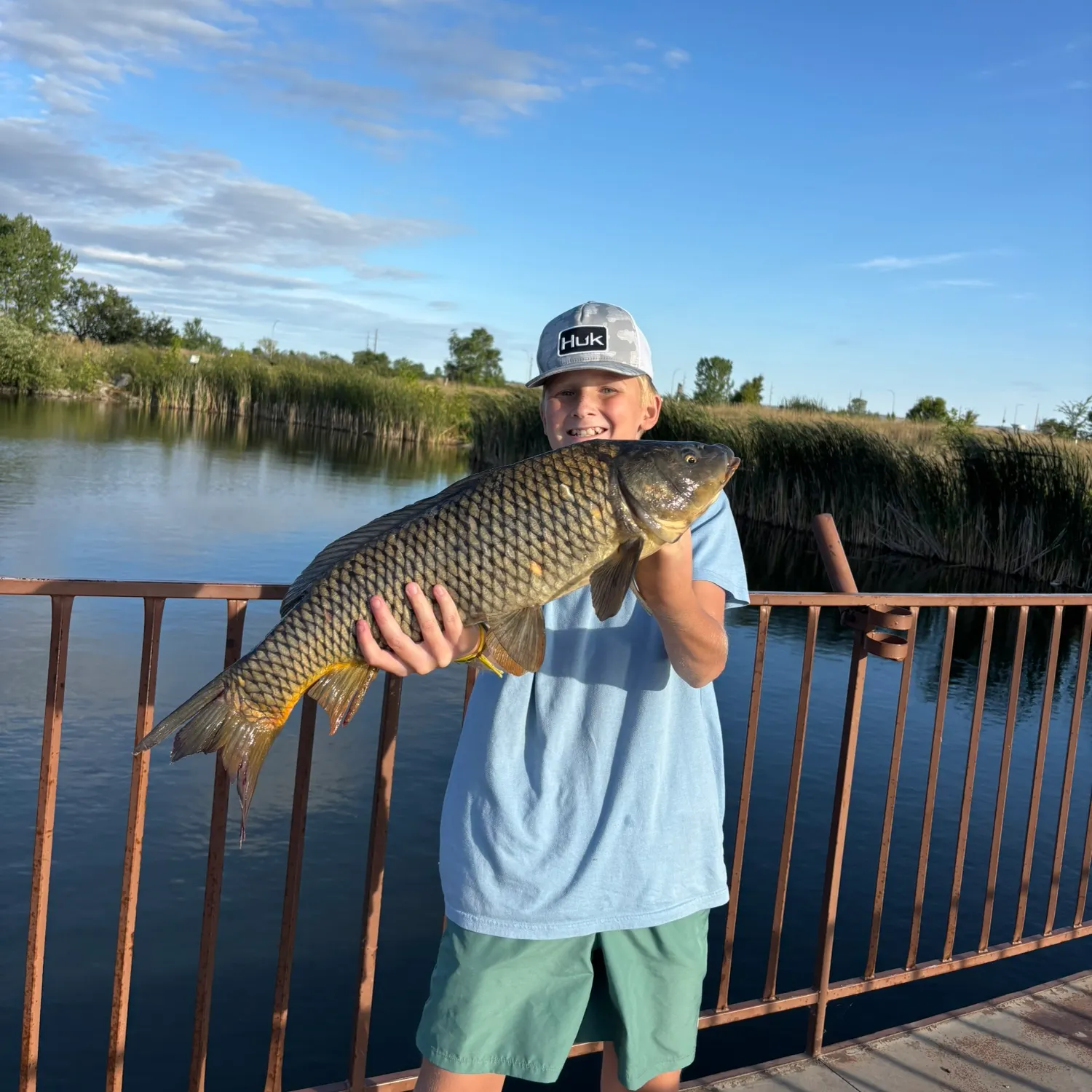 Common carp caught on Fishbrain