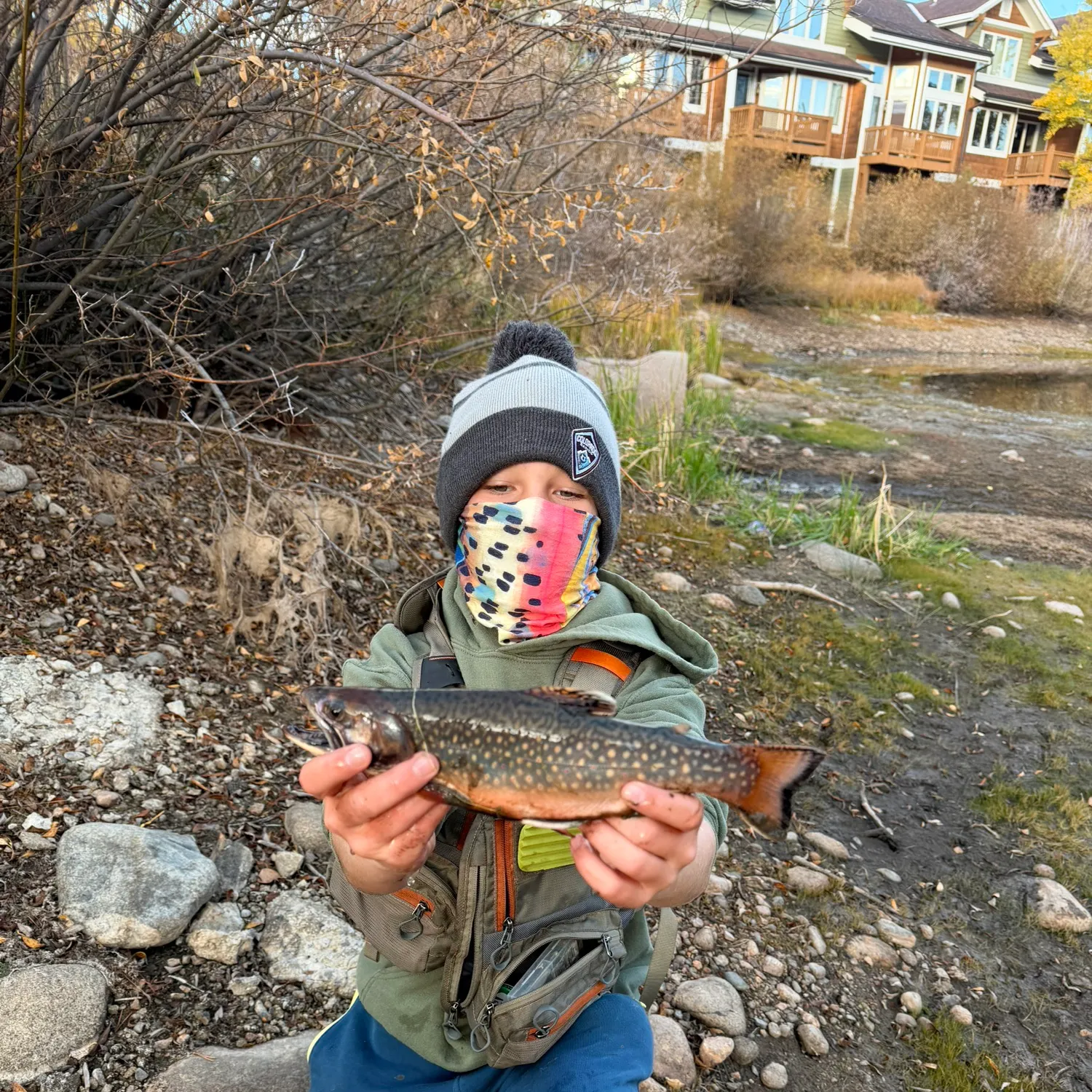 Brook trout caught on Fishbrain