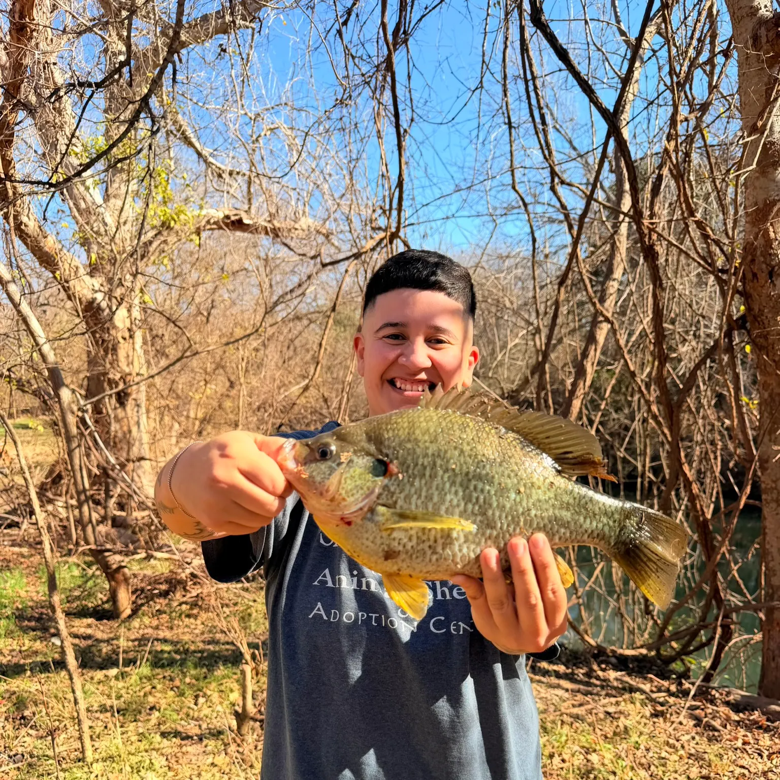 The most recent Redear sunfish catches on Fishbrain