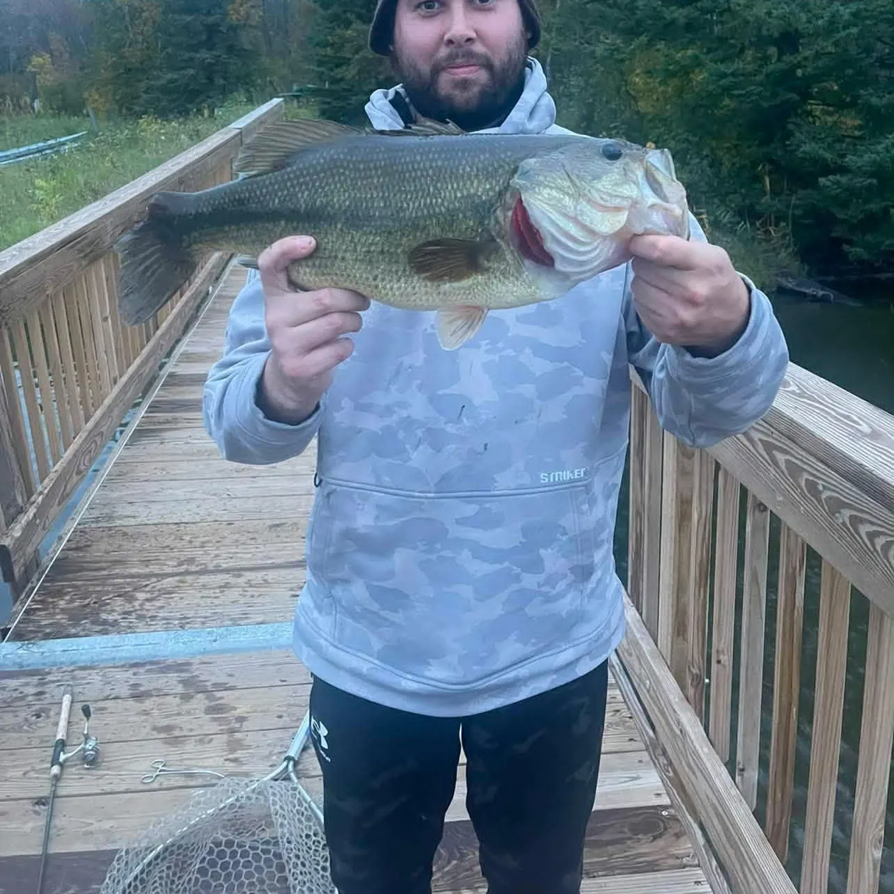 Largemouth bass caught on Fishbrain