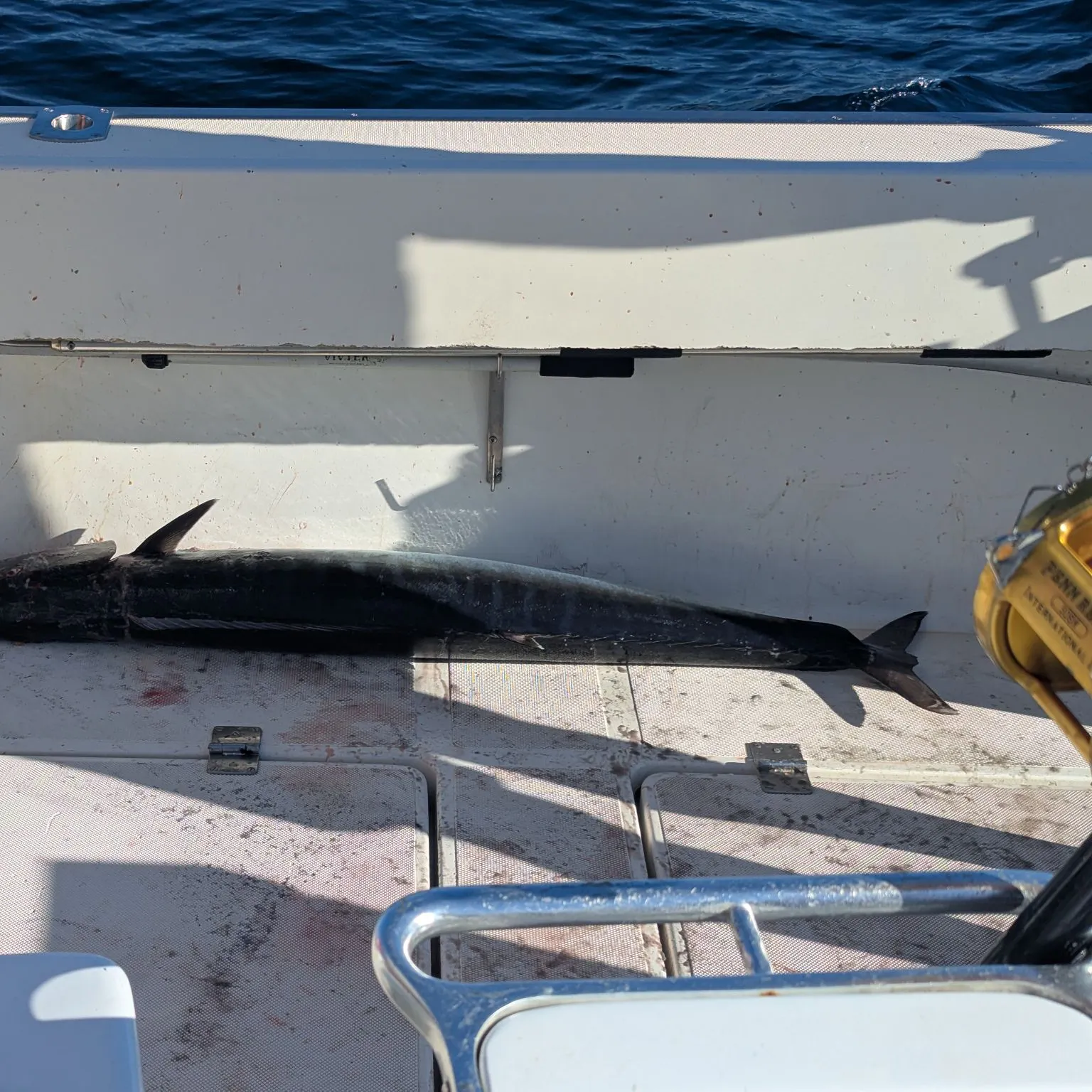 The most recent Wahoo catches on Fishbrain