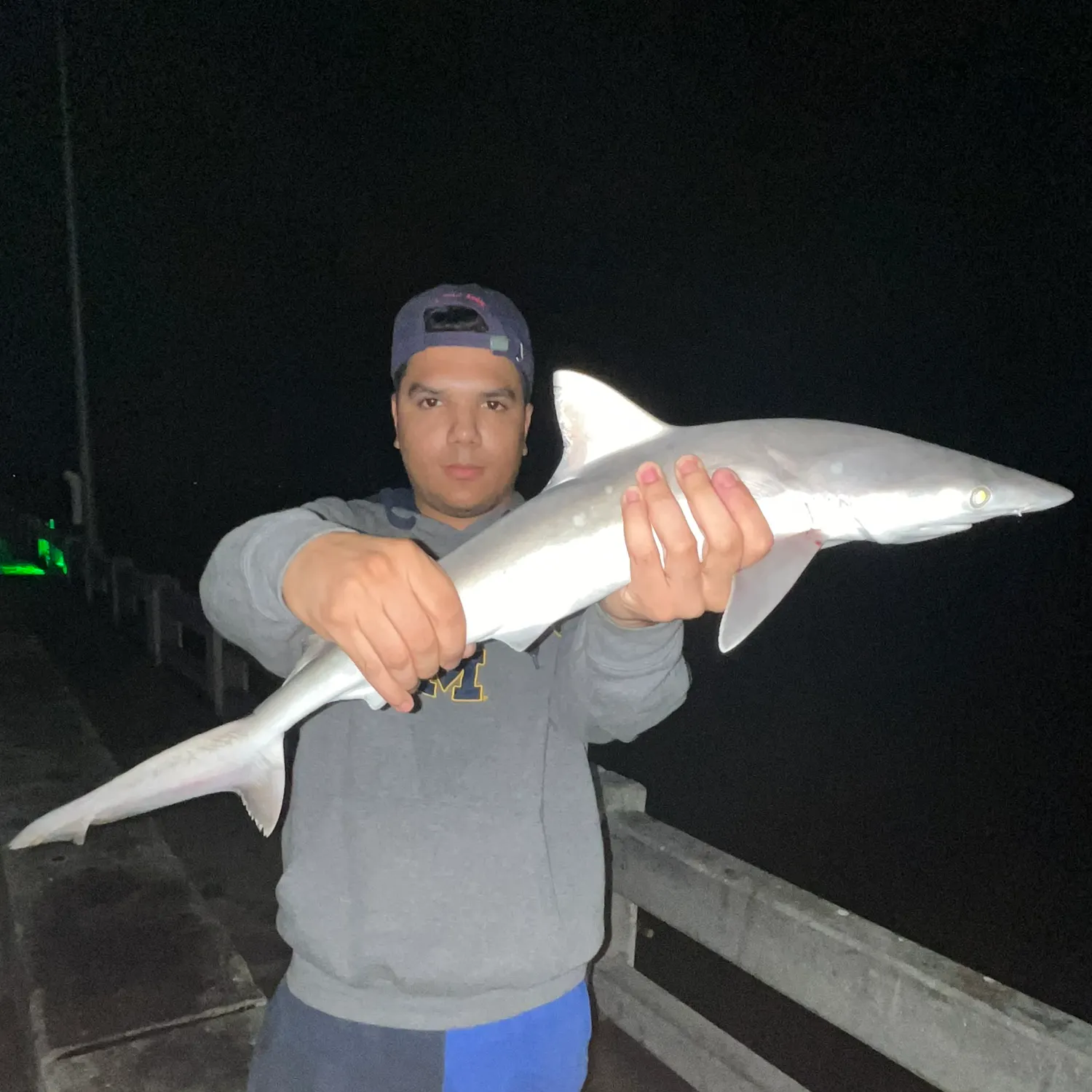 The most recent Atlantic sharpnose shark catches on Fishbrain