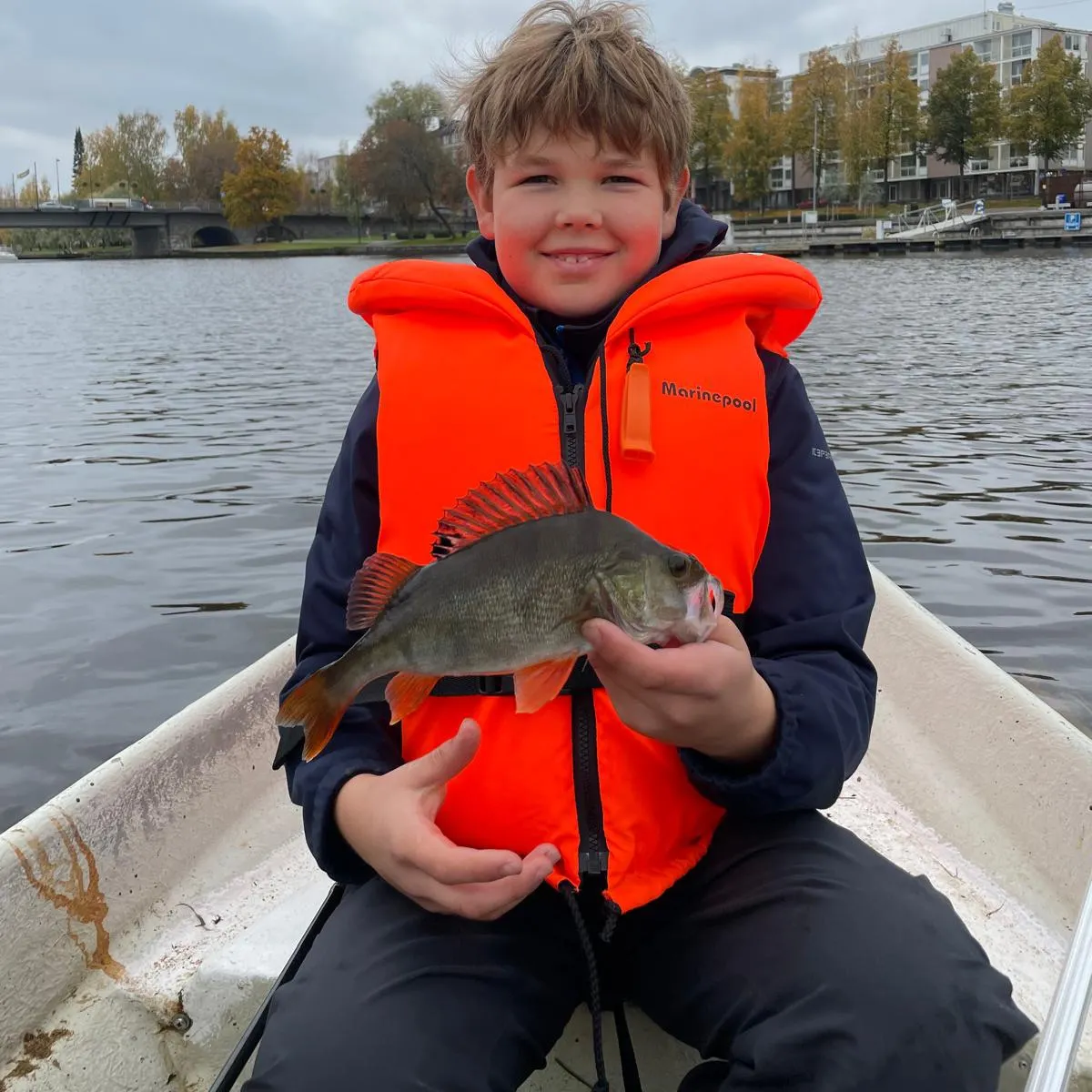 European perch caught on Fishbrain