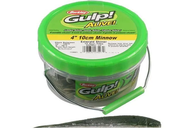 Alive Minnow