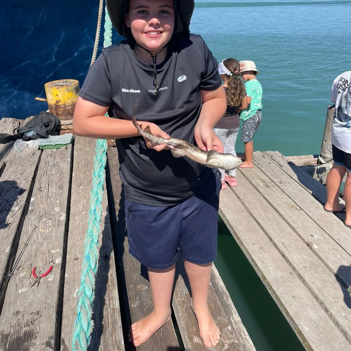 The most recent Brown shyshark catches on Fishbrain