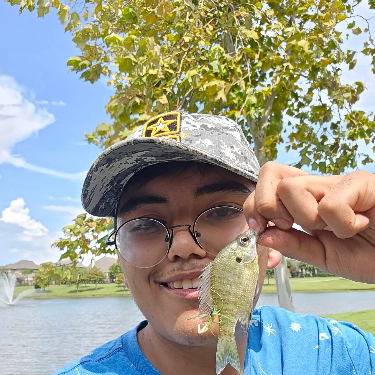 Bluegill caught on Fishbrain