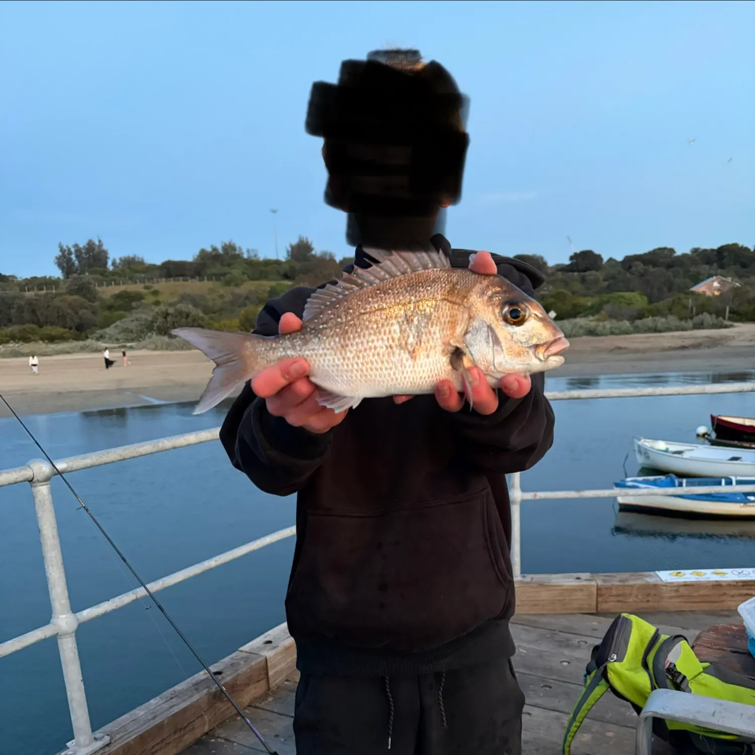 Australasian snapper caught on Fishbrain