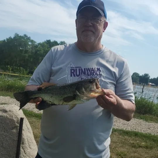 Largemouth bass caught on Fishbrain