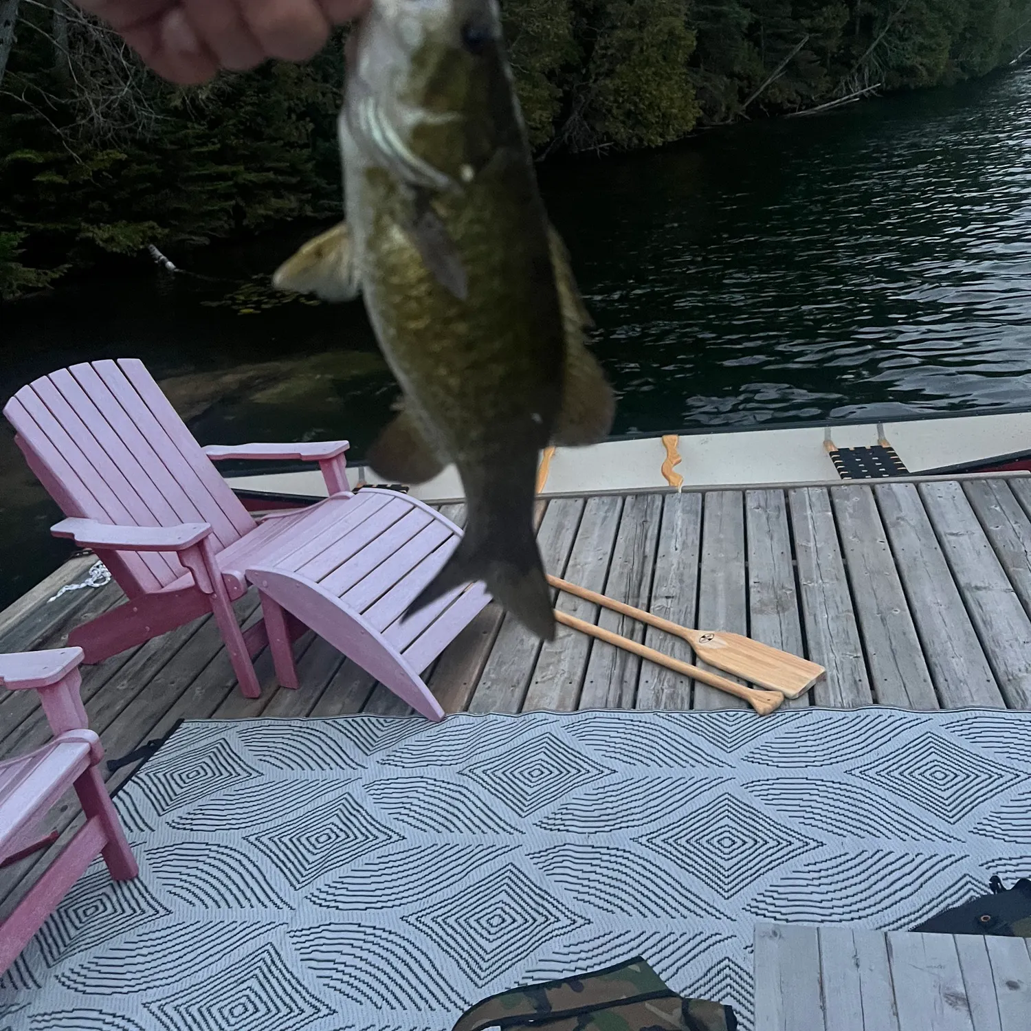Smallmouth bass caught on Fishbrain