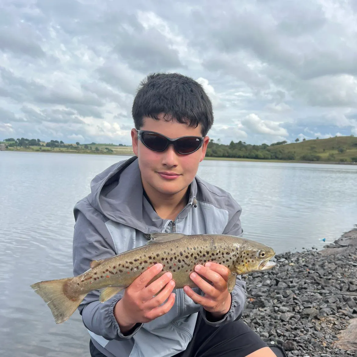 Brown trout caught on Fishbrain