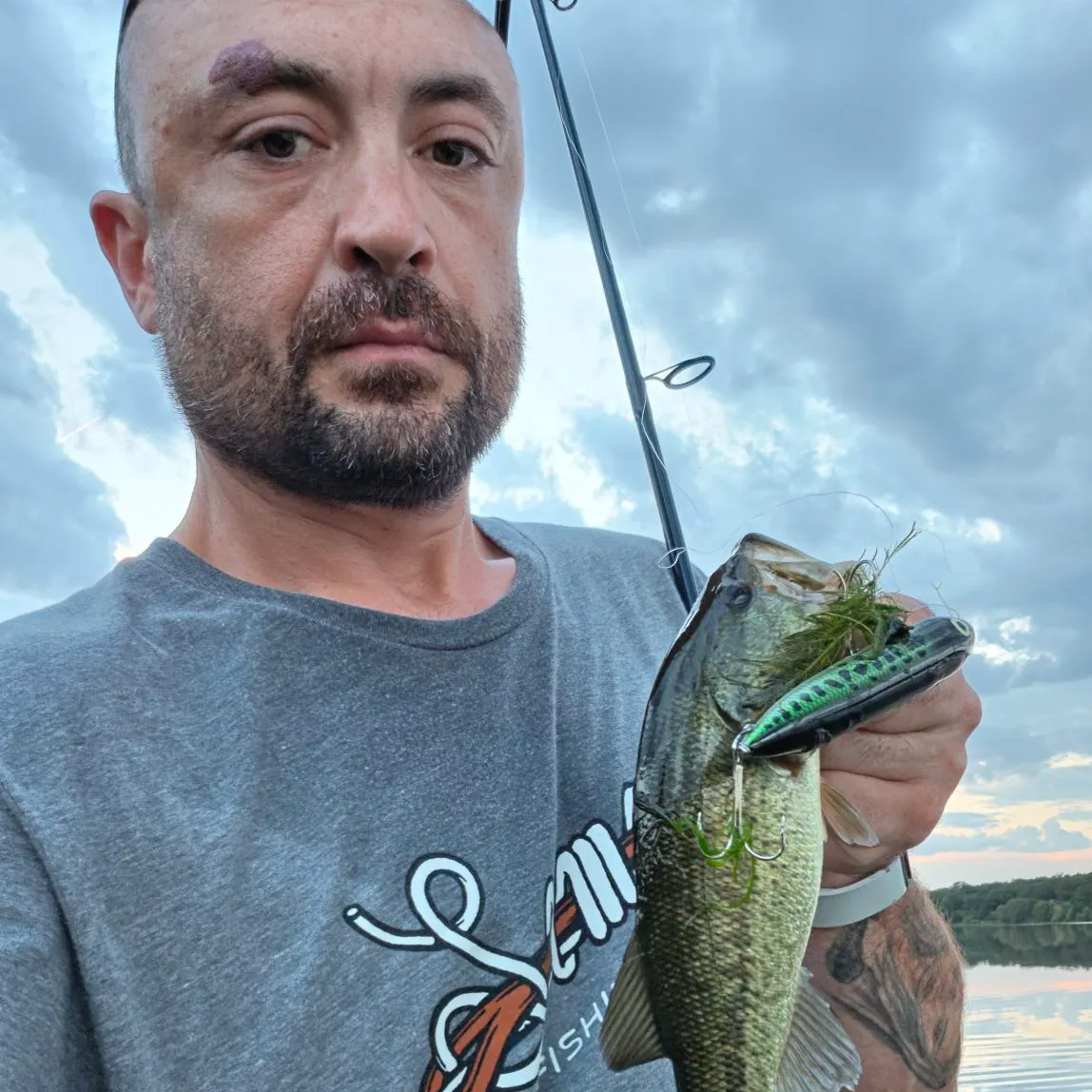 Largemouth bass caught on Fishbrain