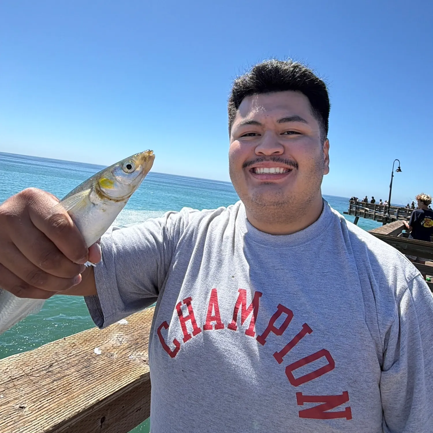 Jack silverside caught on Fishbrain