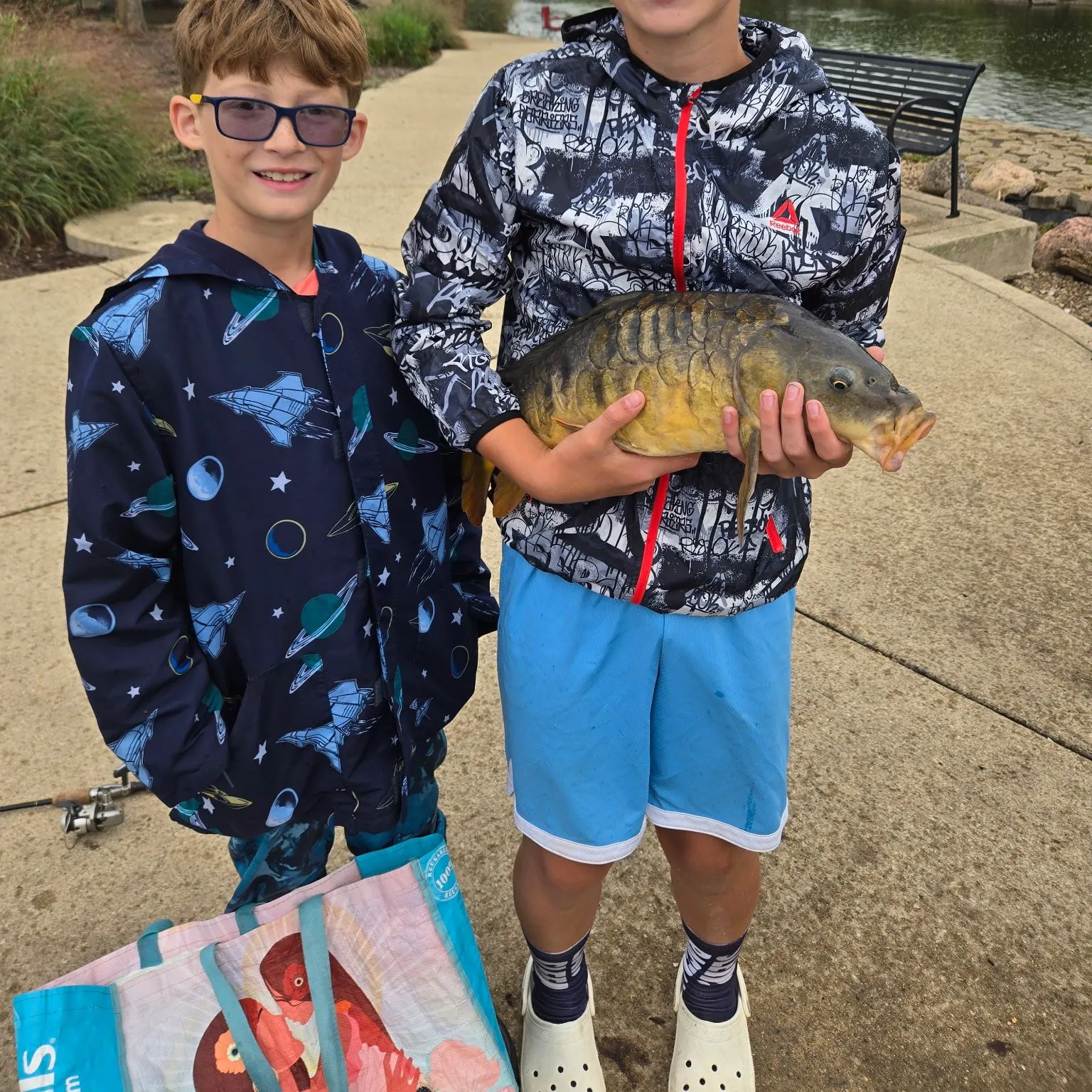 Mirror carp caught on Fishbrain