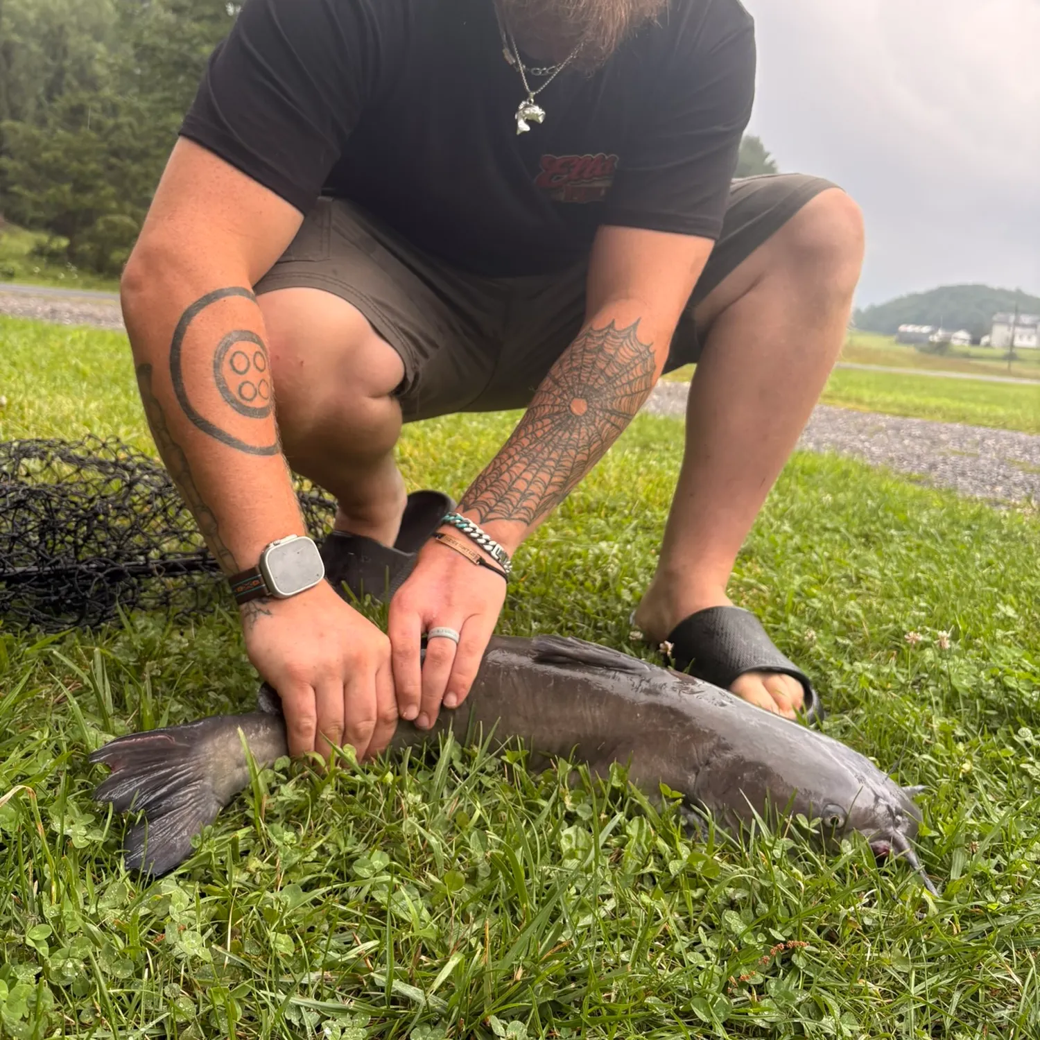 Blue catfish caught on Fishbrain