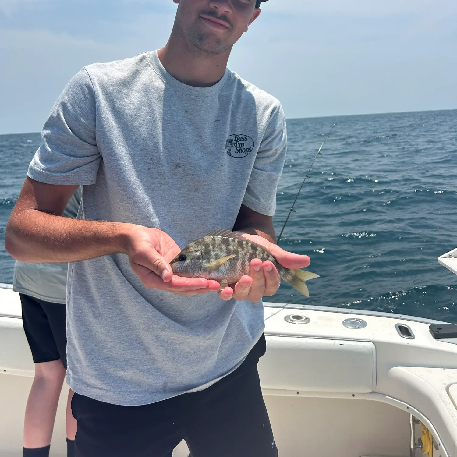 The most popular recent Pigfish catch on Fishbrain