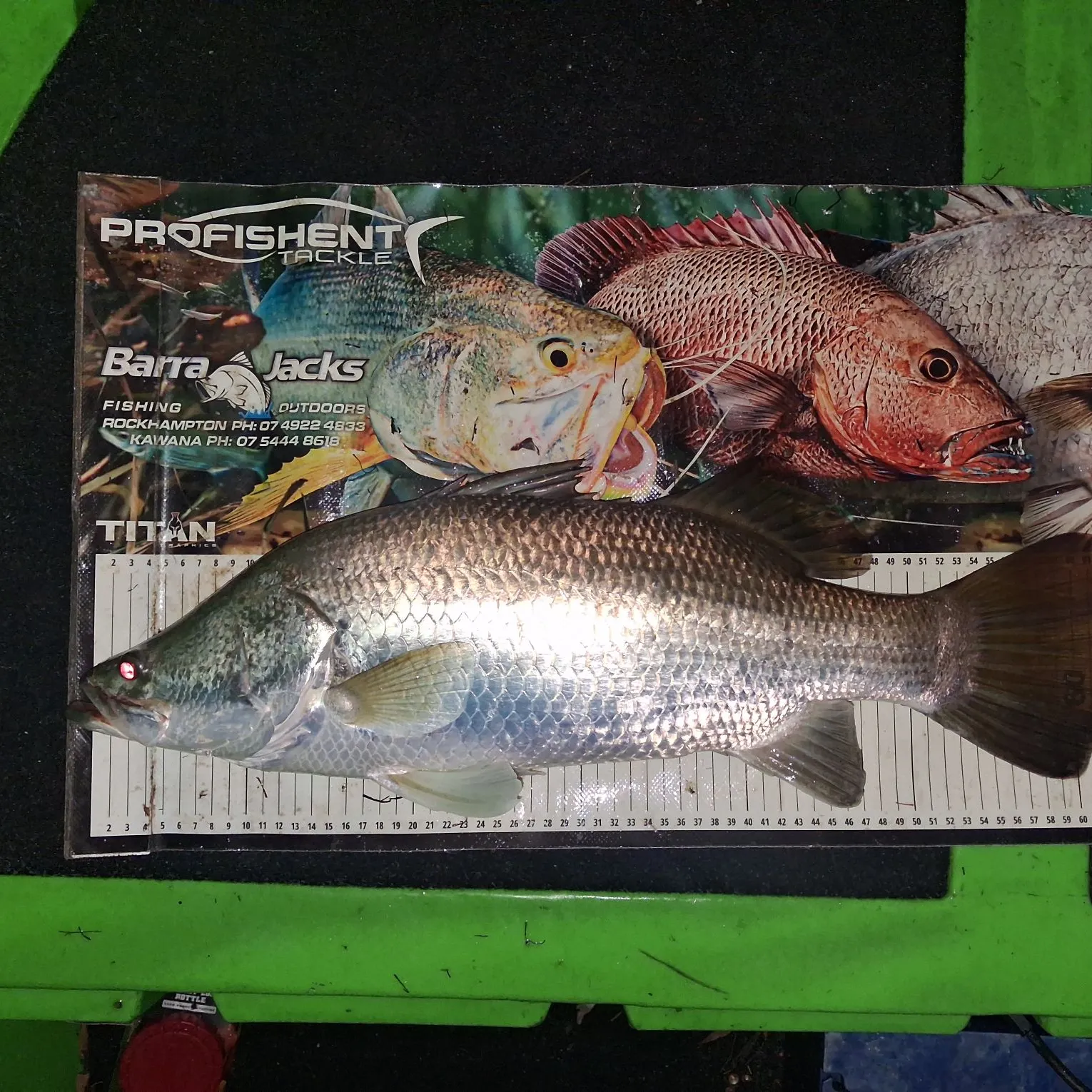 Barramundi caught on Fishbrain