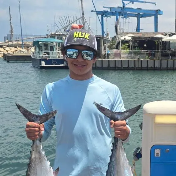 The most recent Black skipjack tuna catches on Fishbrain