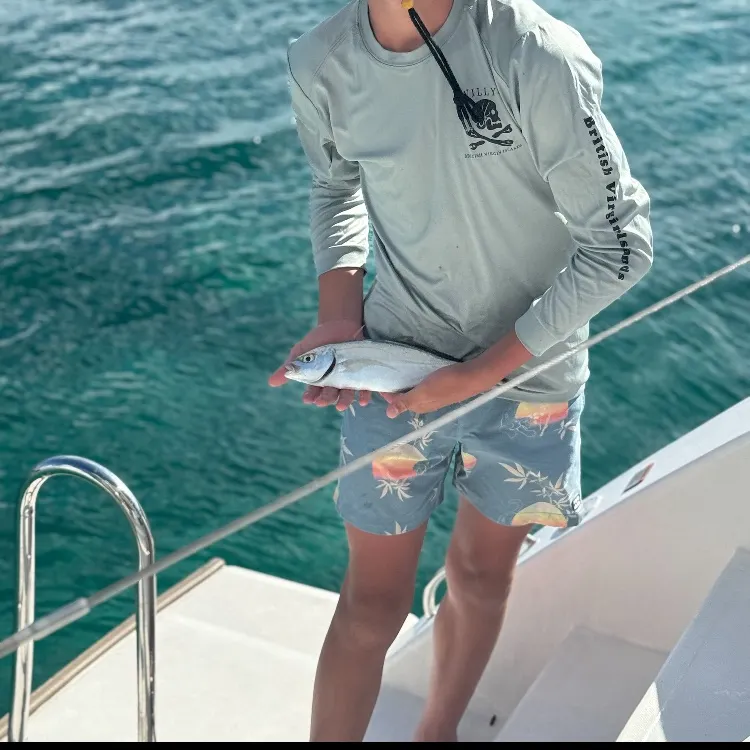 The most recent Bar jack catches on Fishbrain