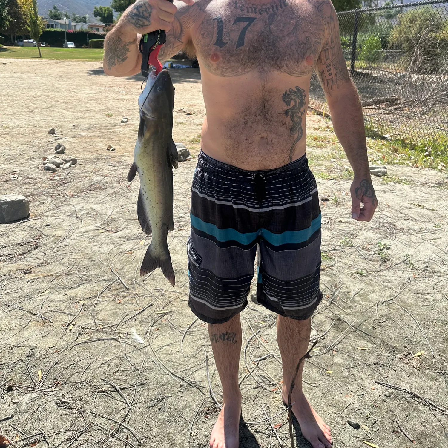 catch