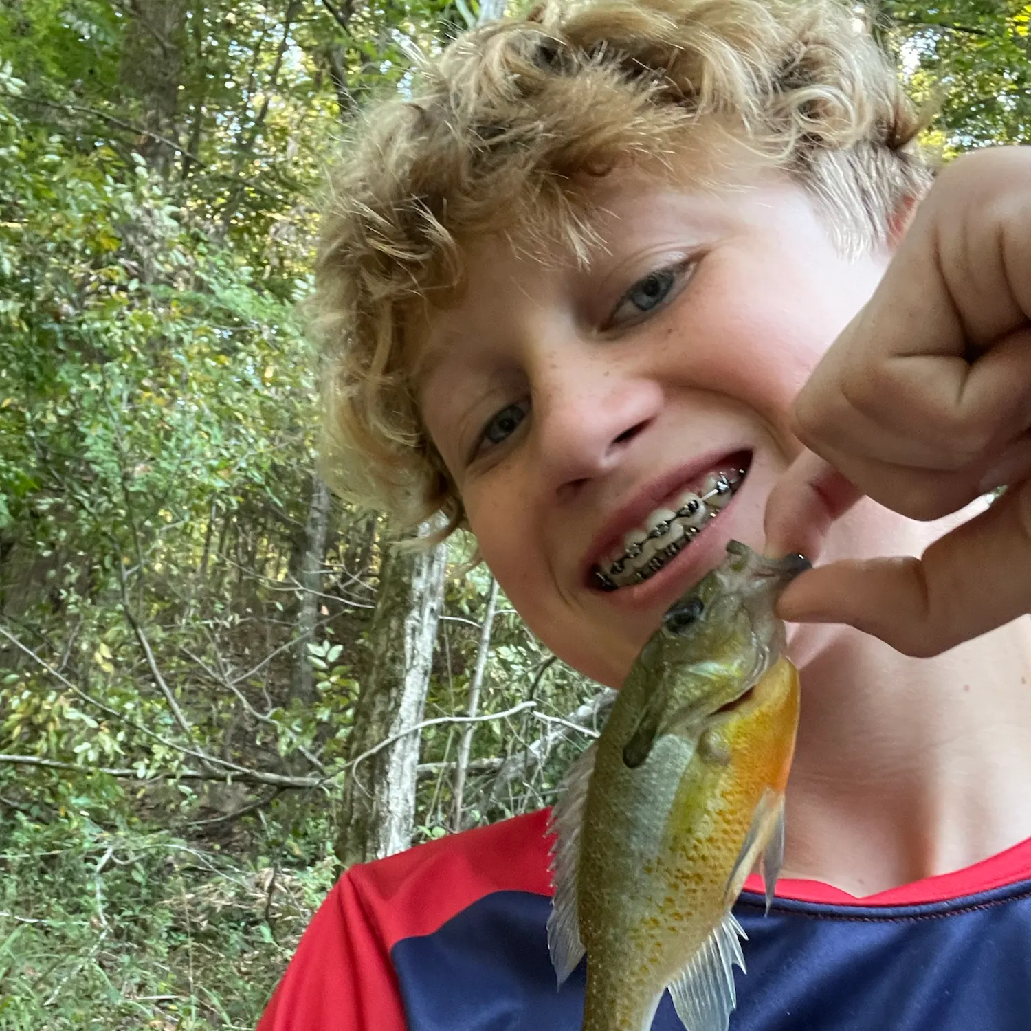 Bluegill caught on Fishbrain