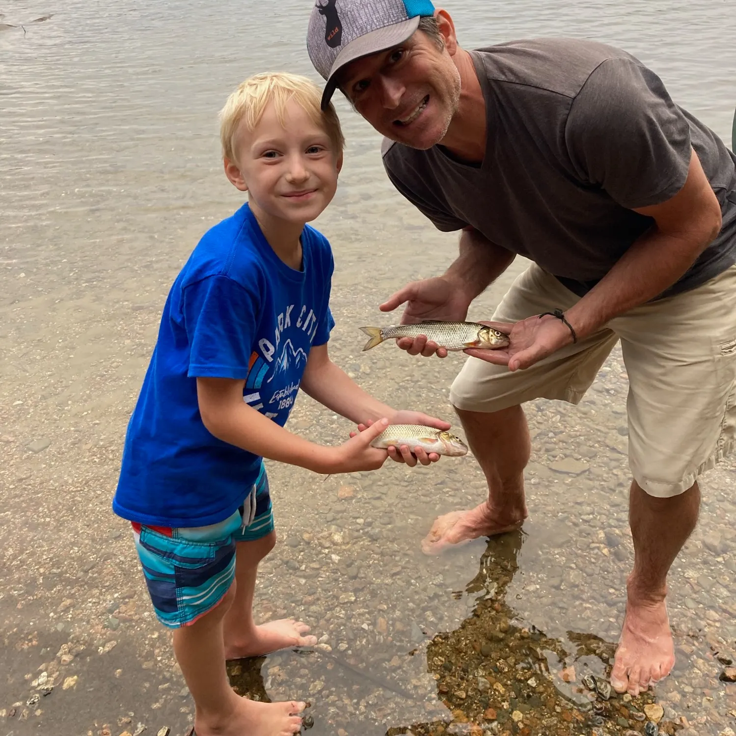 The most recent Landlocked atlantic salmon catches on Fishbrain
