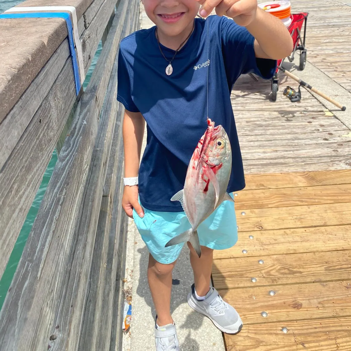The most recent Blue runner catches on Fishbrain