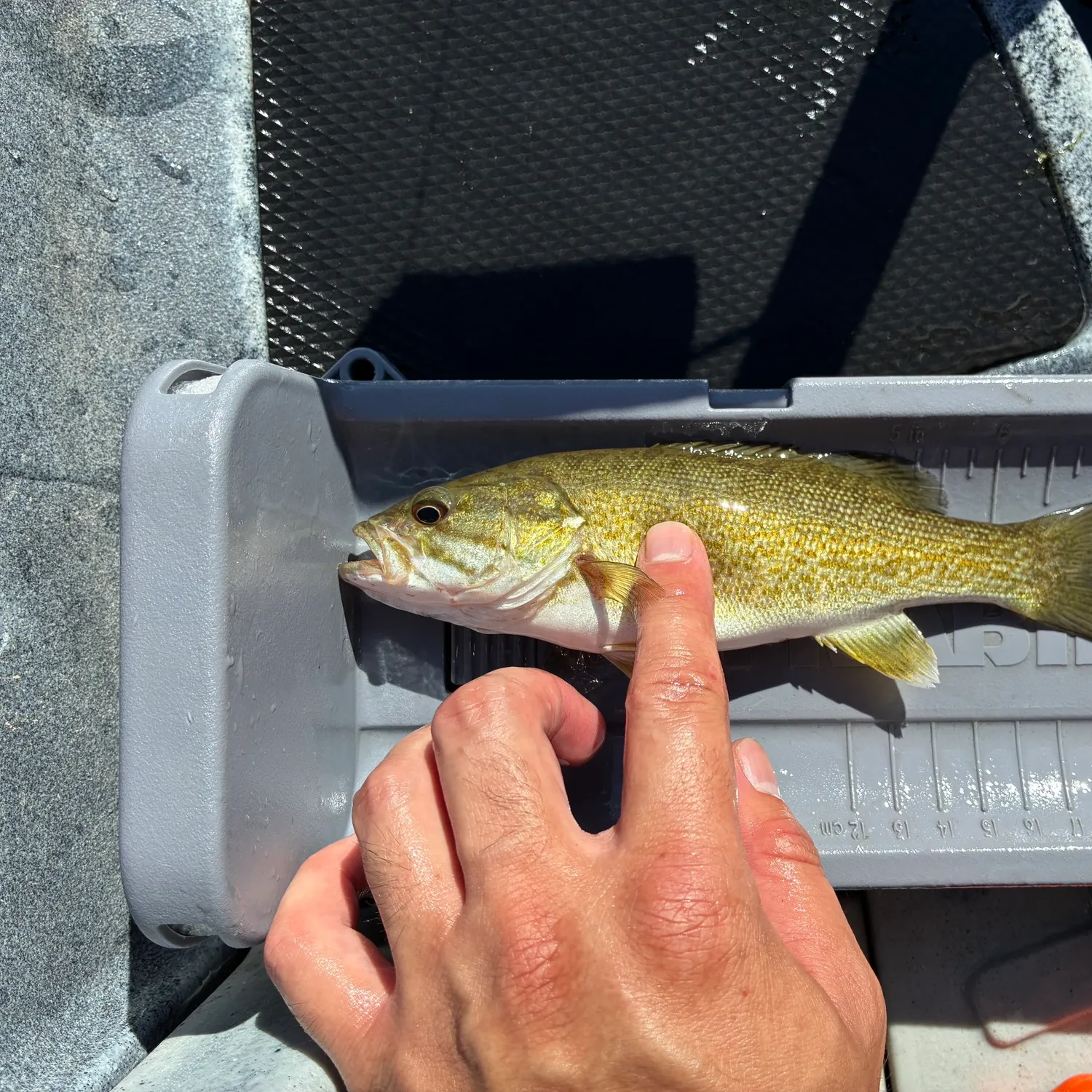 catch