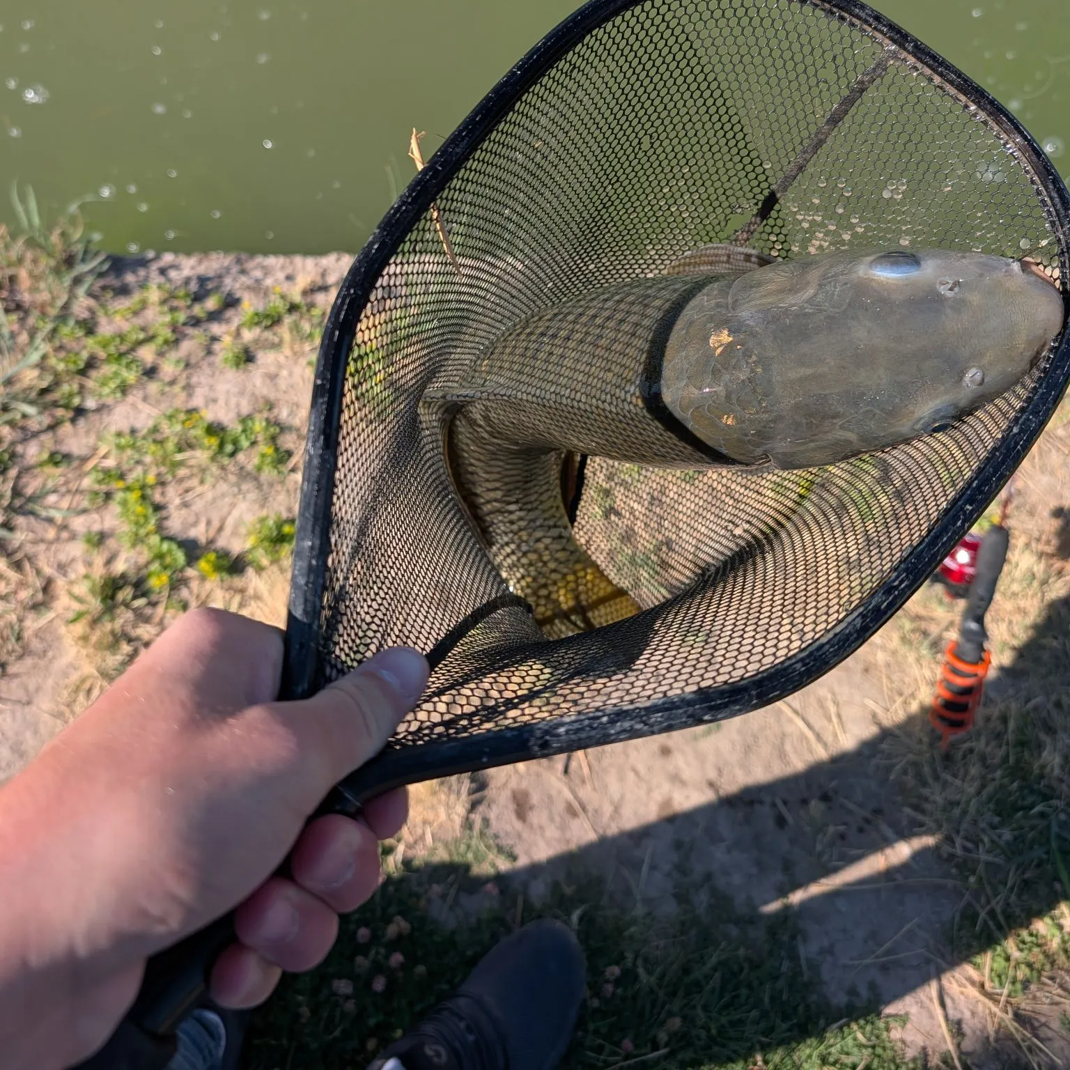 catch