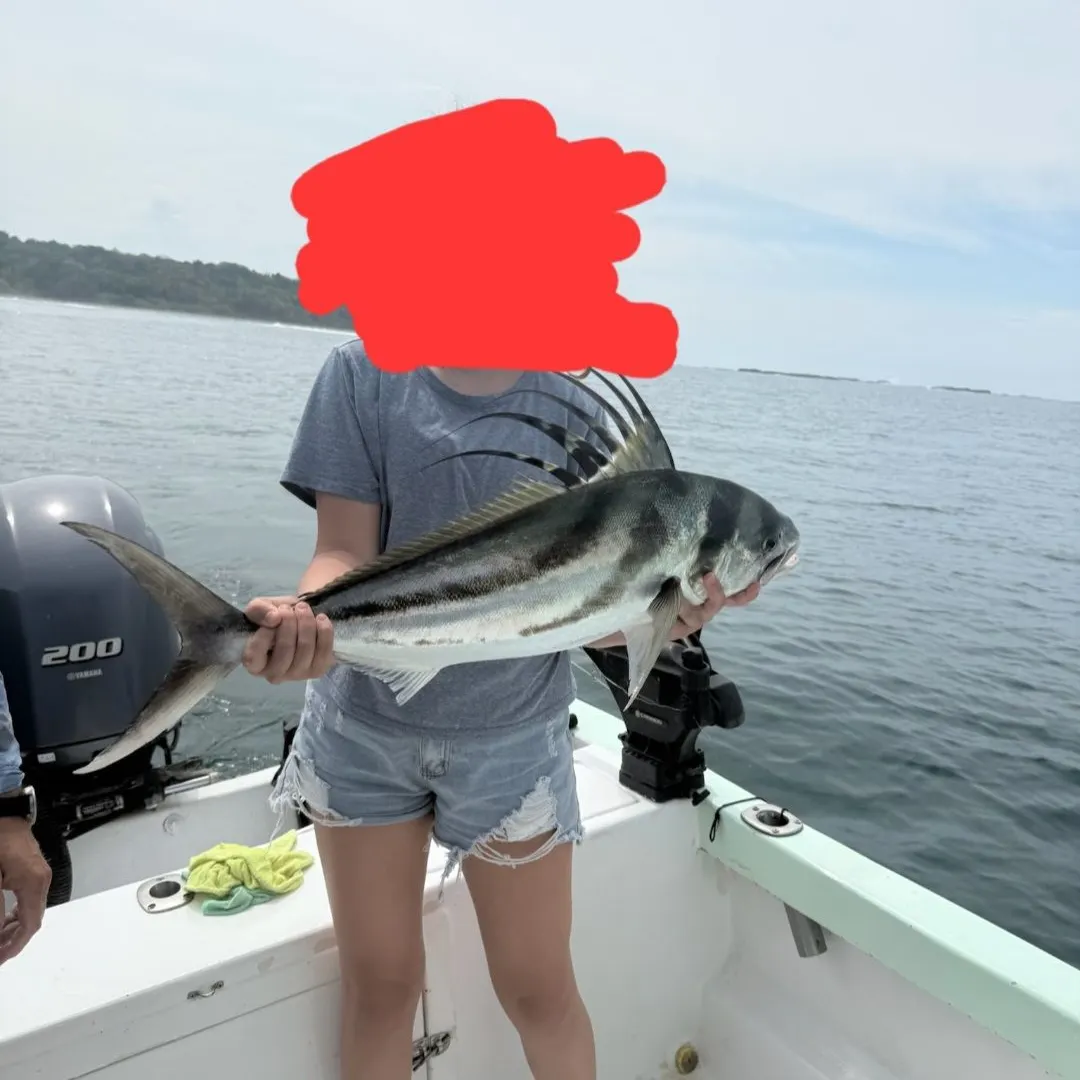 The most recent Roosterfish catches on Fishbrain