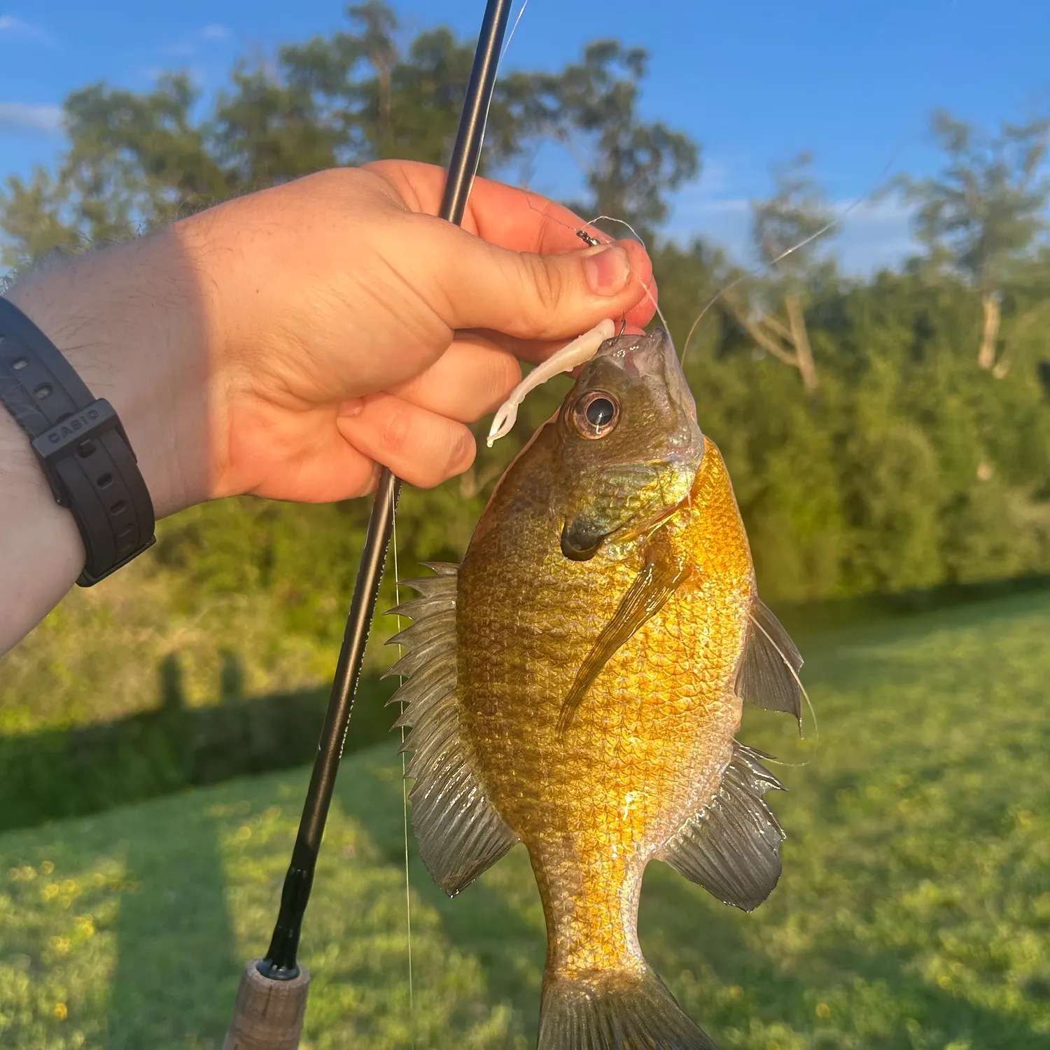 catch