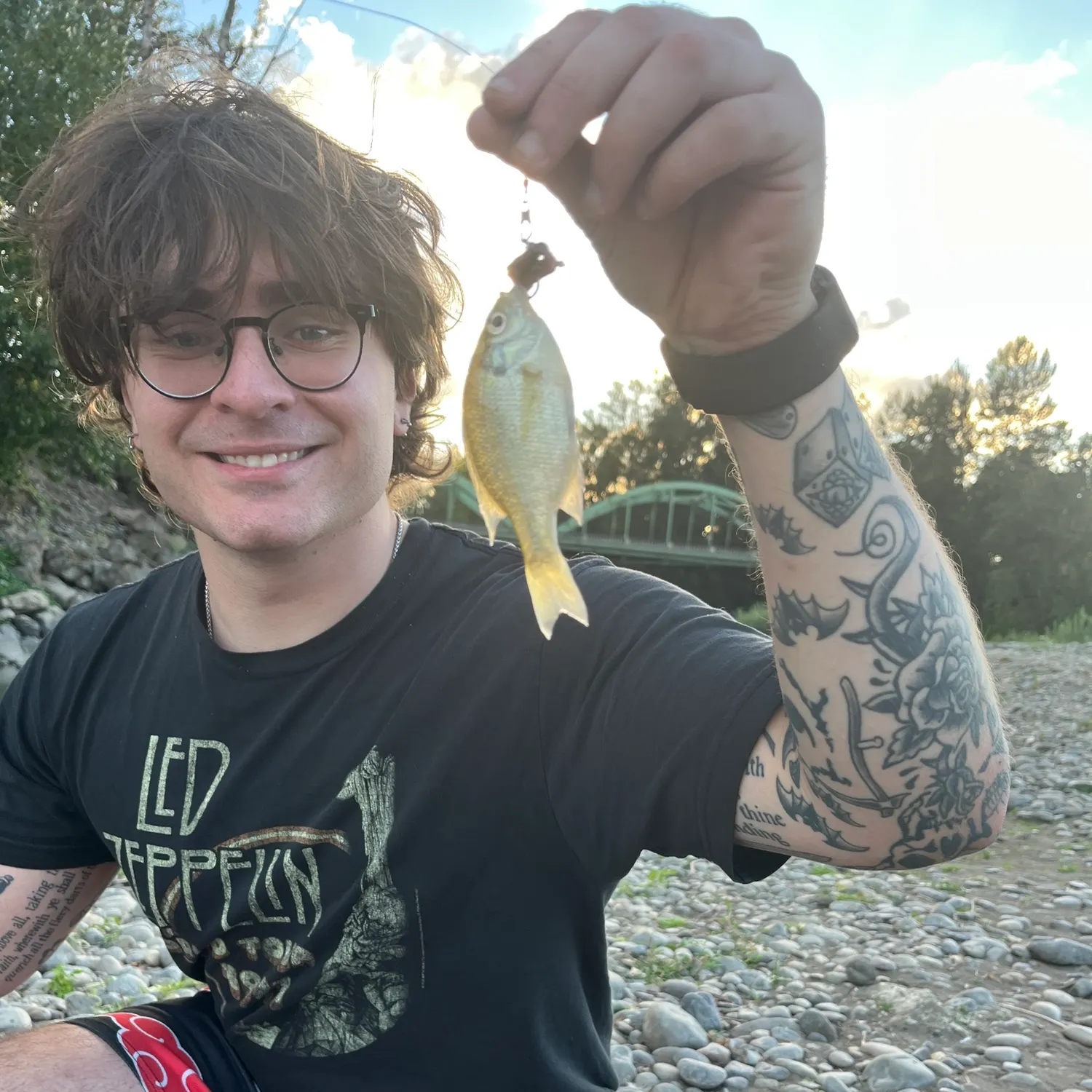 Bluegill caught on Fishbrain