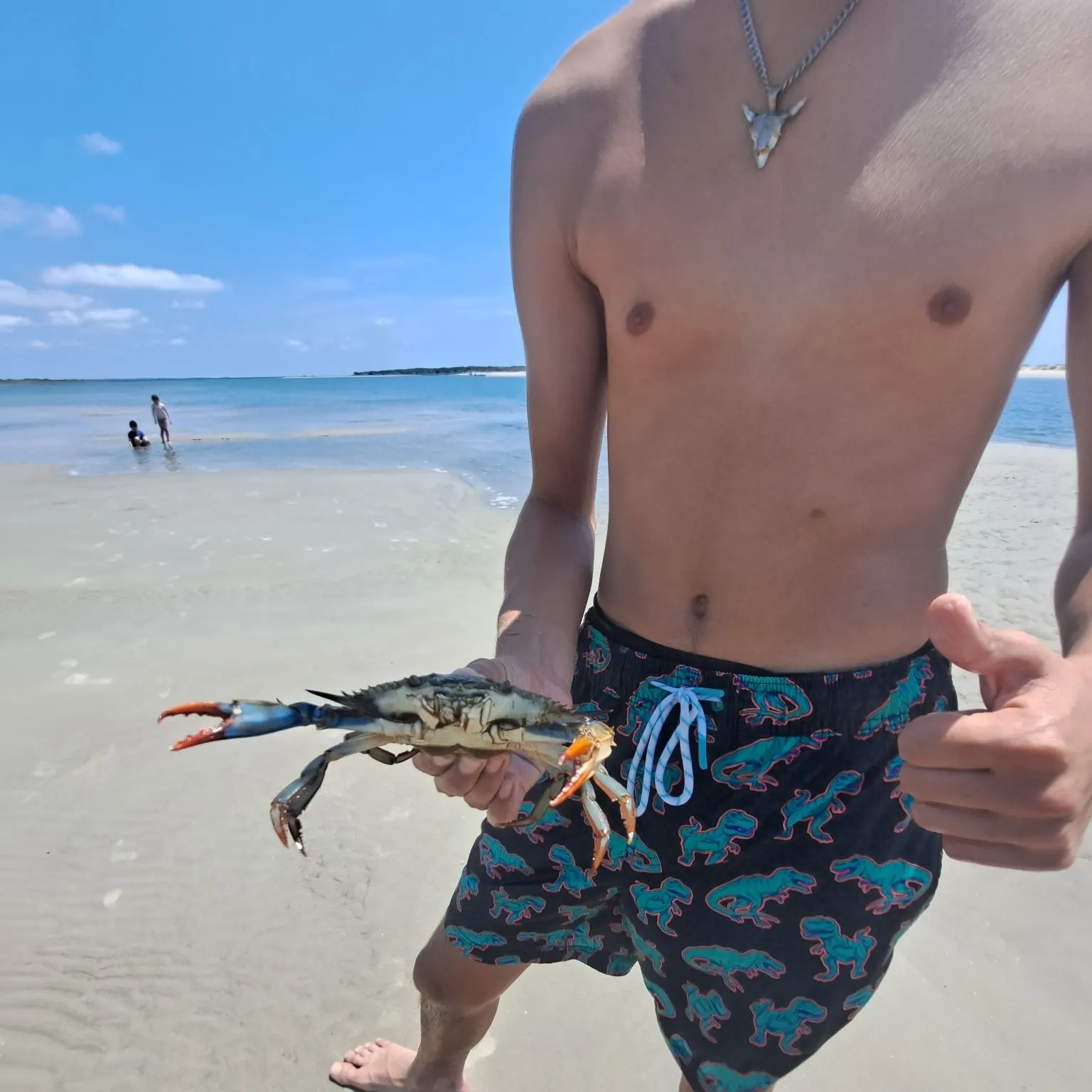 Blue crab caught on Fishbrain