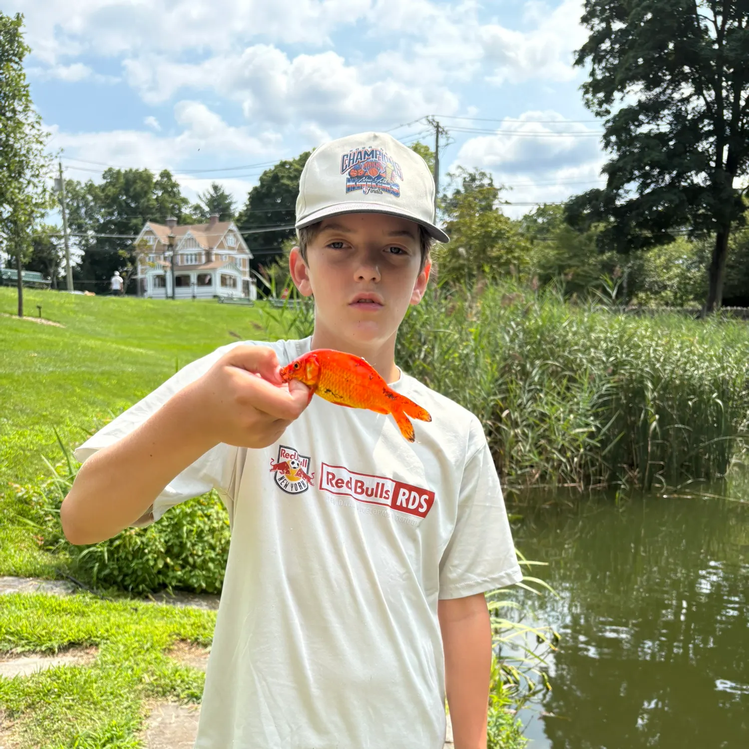 The most recent Goldfish catches on Fishbrain