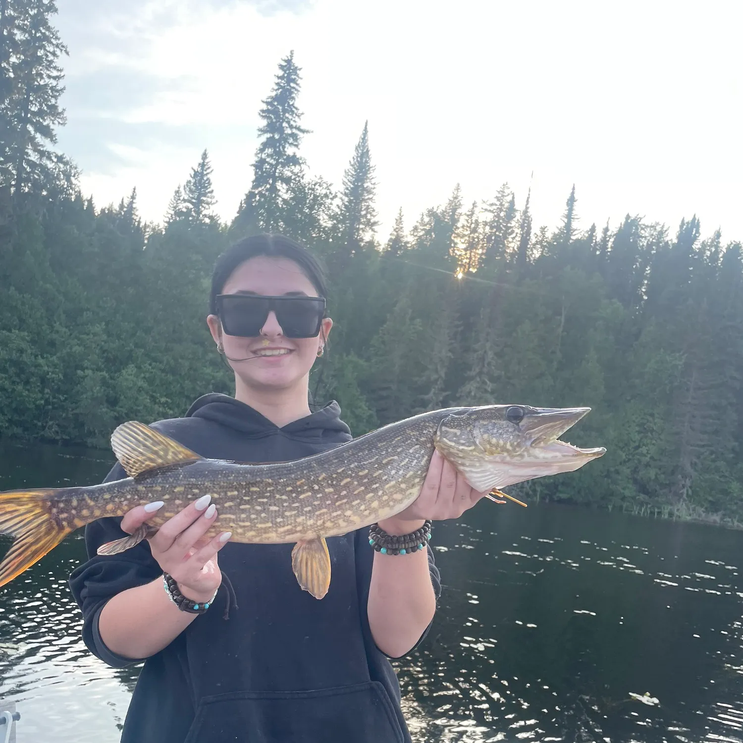Northern pike caught on Fishbrain