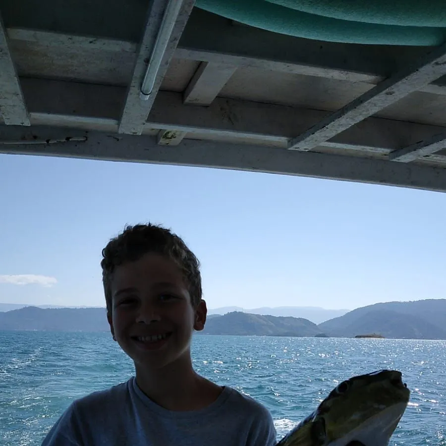 The most recent Smooth puffer catches on Fishbrain