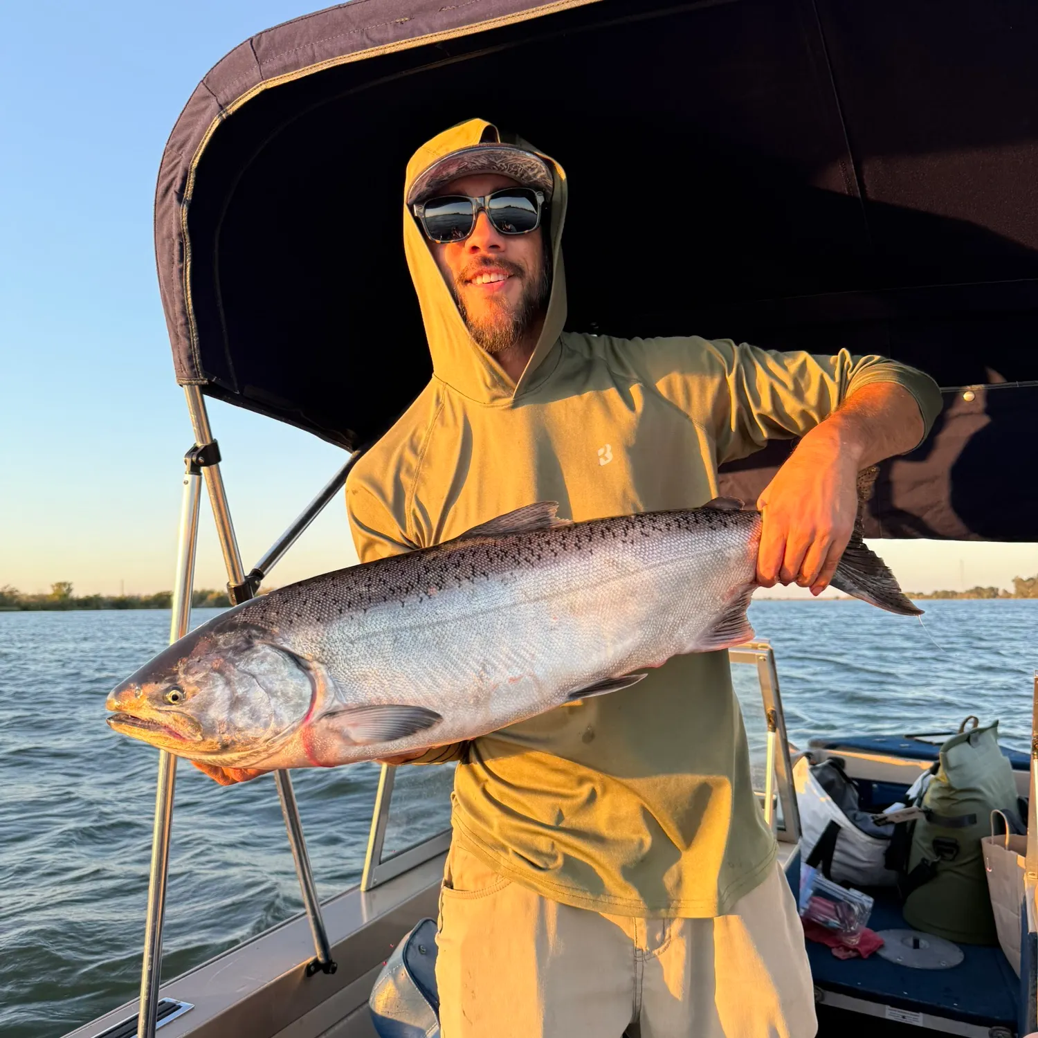Chinook salmon caught on Fishbrain
