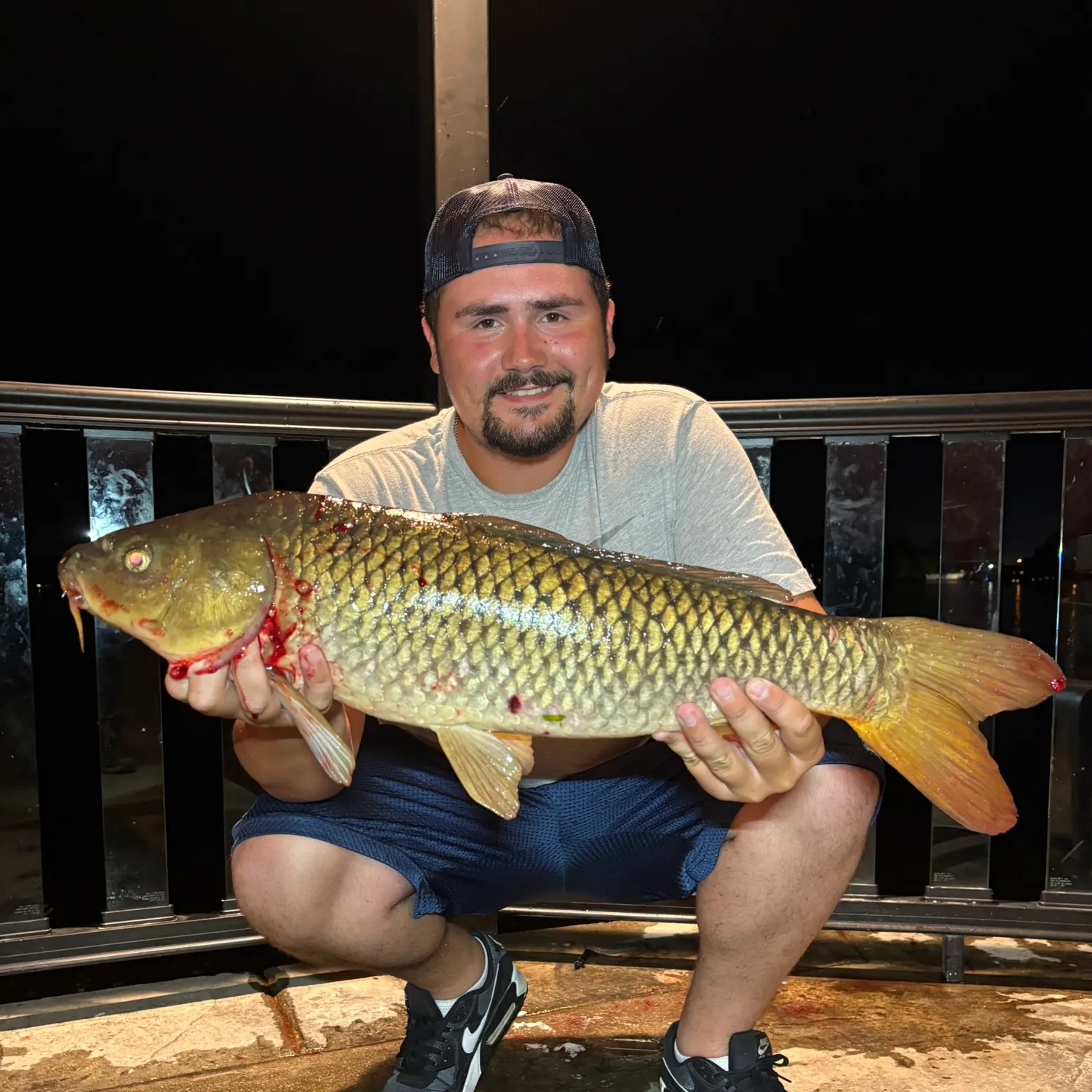 The most recent Common carp catches on Fishbrain